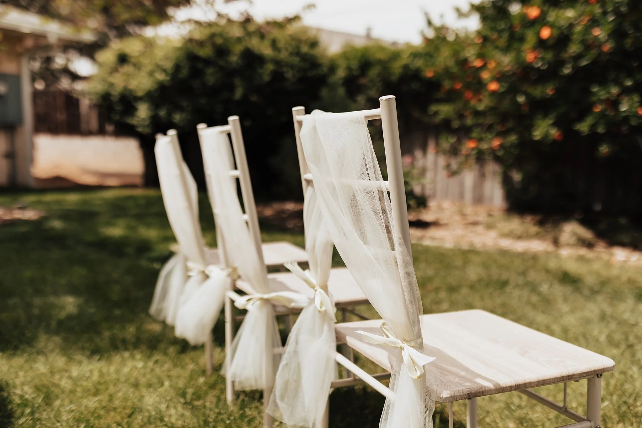 Alicia+lucia+photography+-+backyard+wedding+-+destination+wedding+-+albuquerque+wedding_0030.jpg