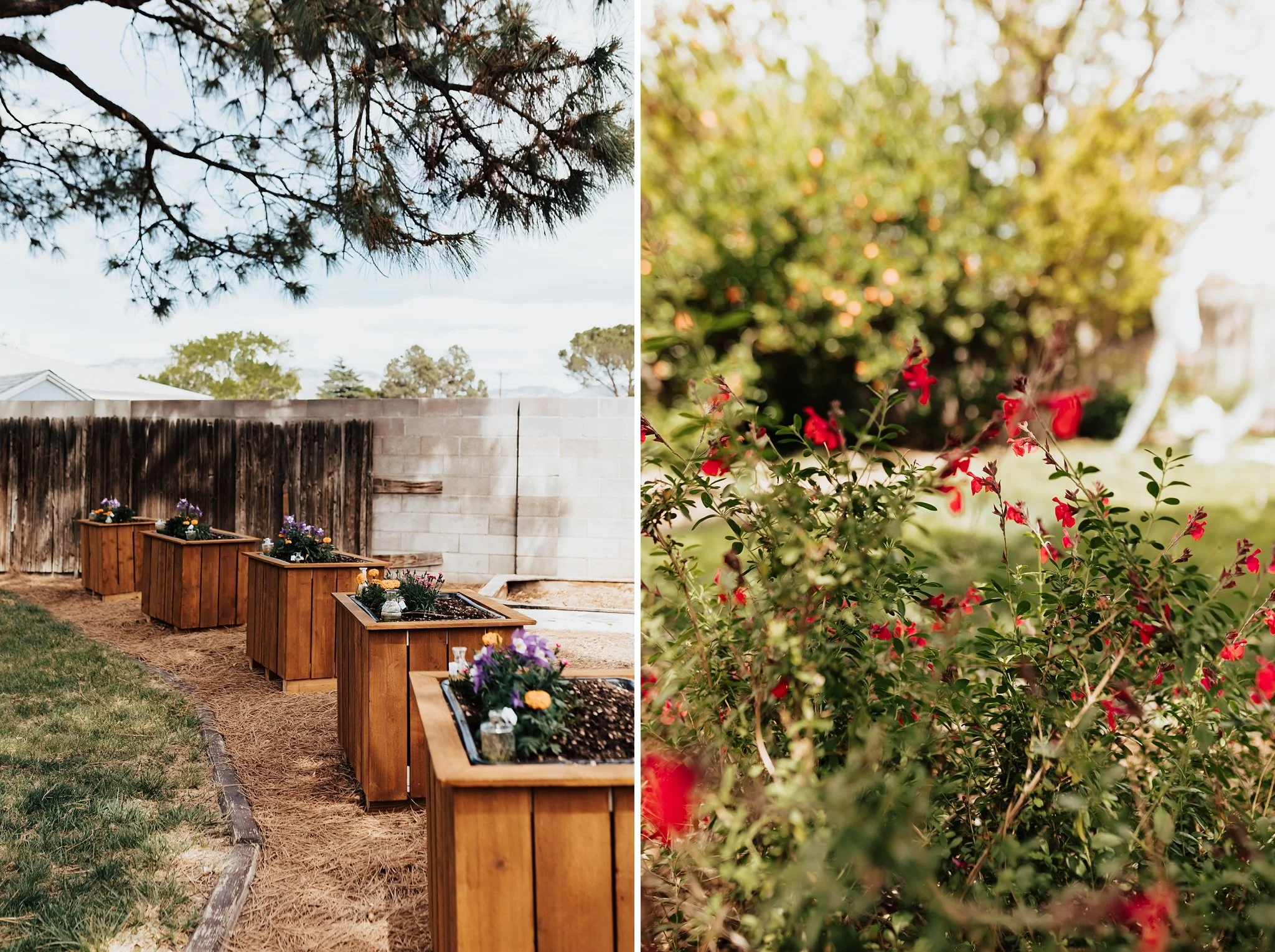 Alicia+lucia+photography+-+backyard+wedding+-+destination+wedding+-+albuquerque+wedding_0031.jpg