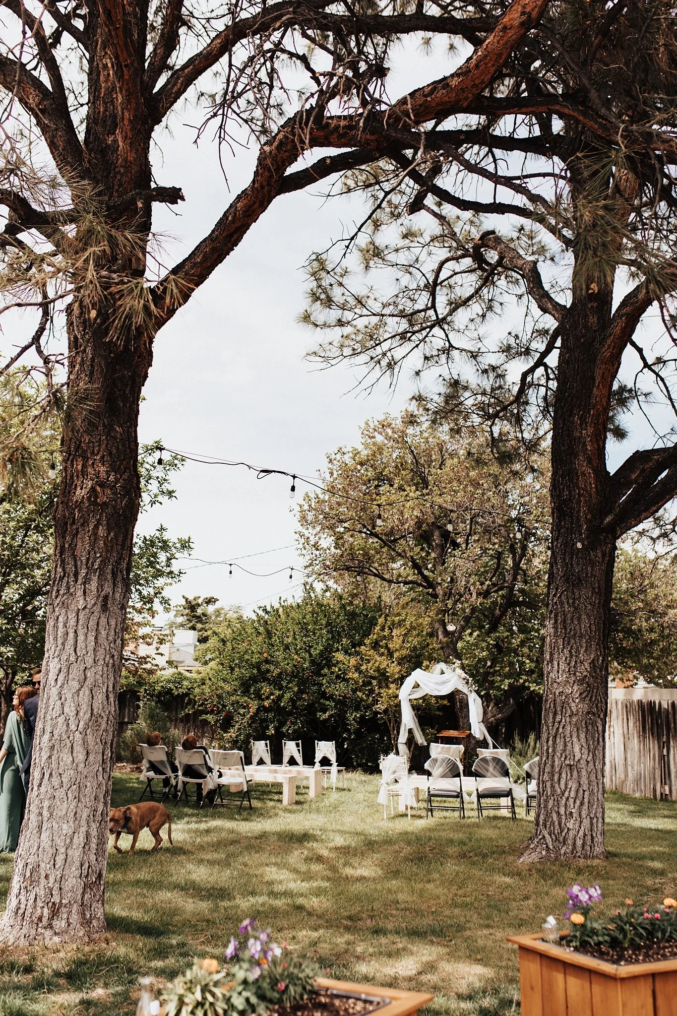 Alicia+lucia+photography+-+backyard+wedding+-+destination+wedding+-+albuquerque+wedding_0032.jpg