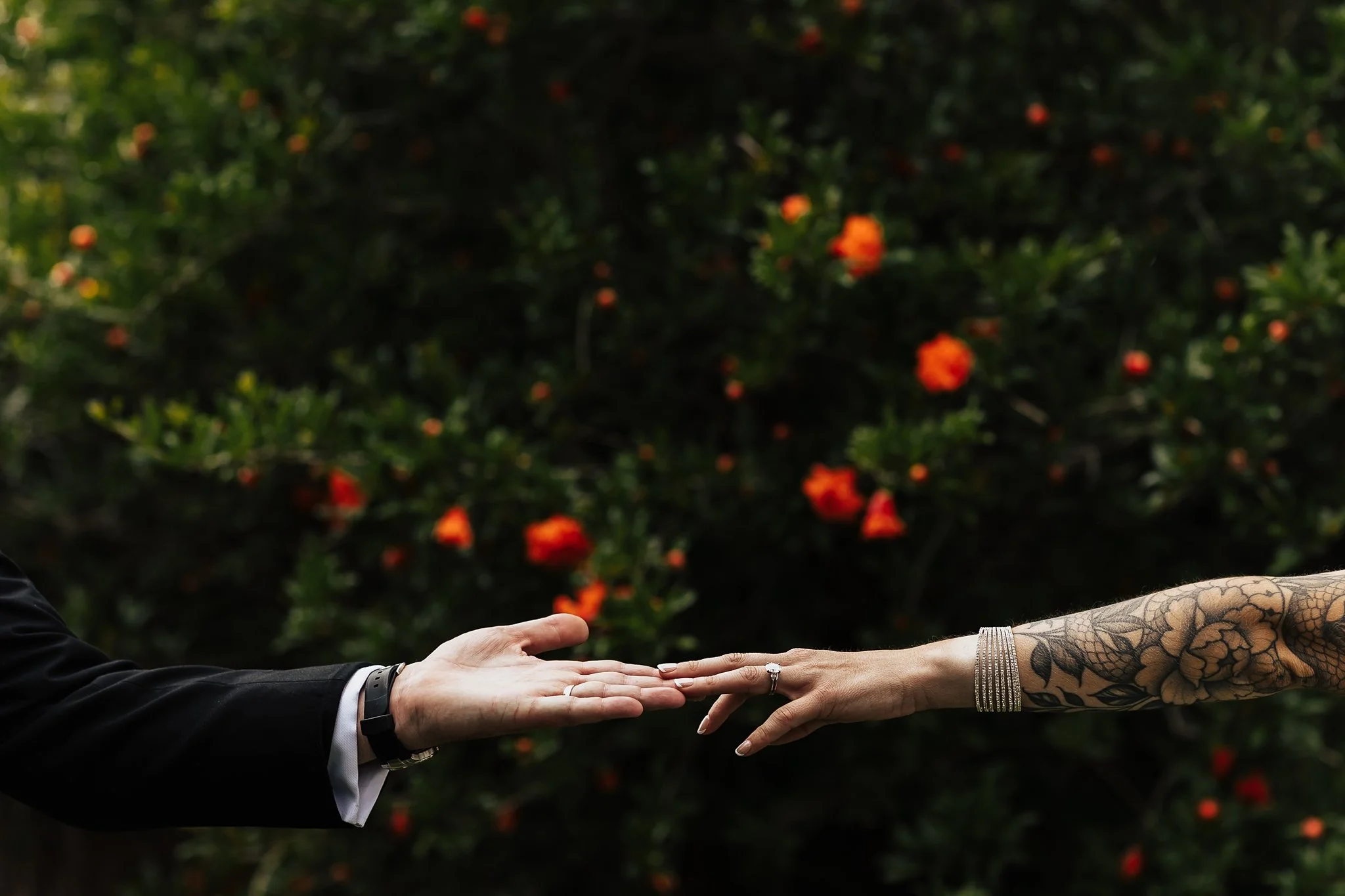 Alicia+lucia+photography+-+backyard+wedding+-+destination+wedding+-+albuquerque+wedding_0076.jpg
