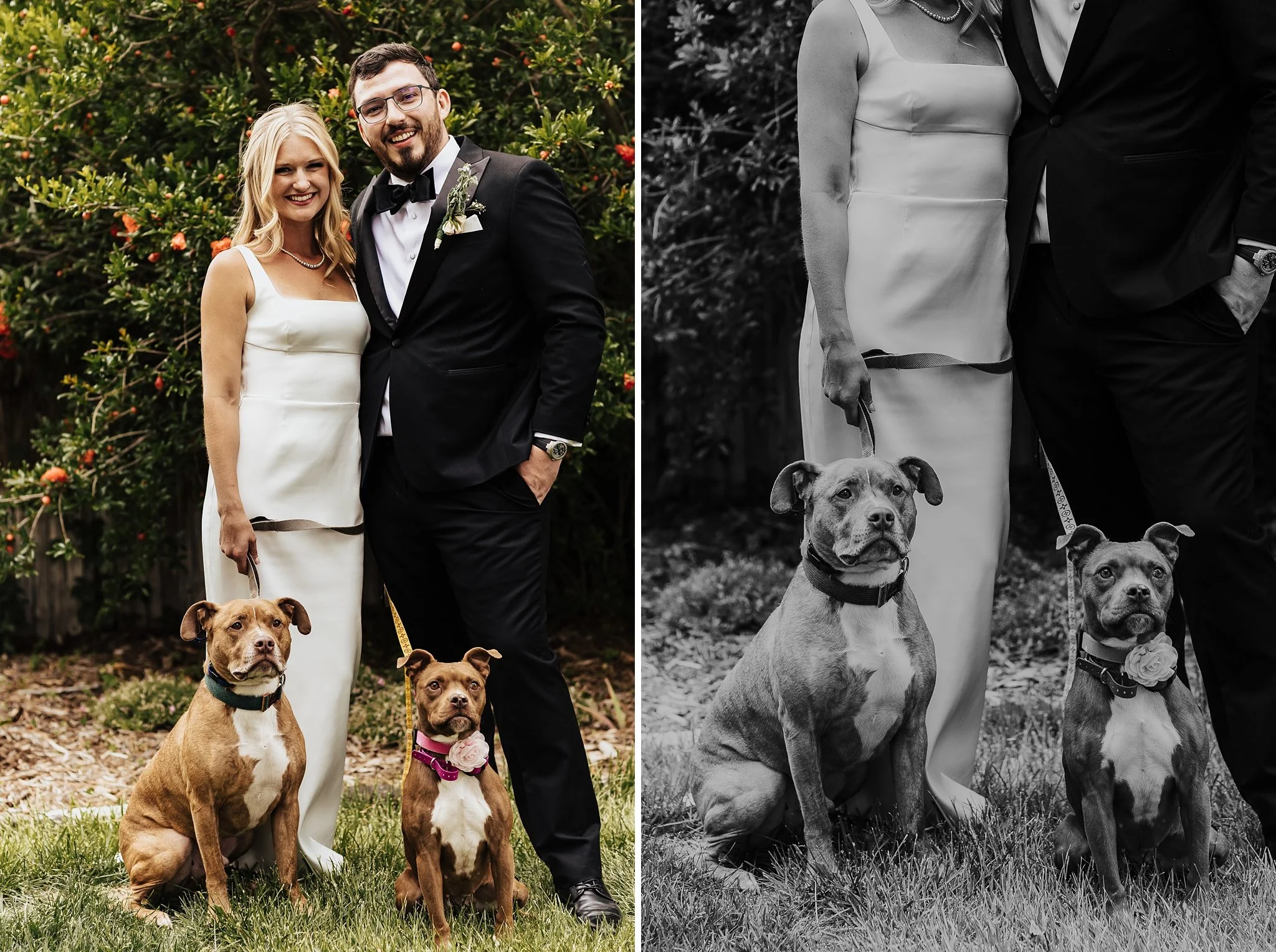 Alicia+lucia+photography+-+backyard+wedding+-+destination+wedding+-+albuquerque+wedding_0126.jpg