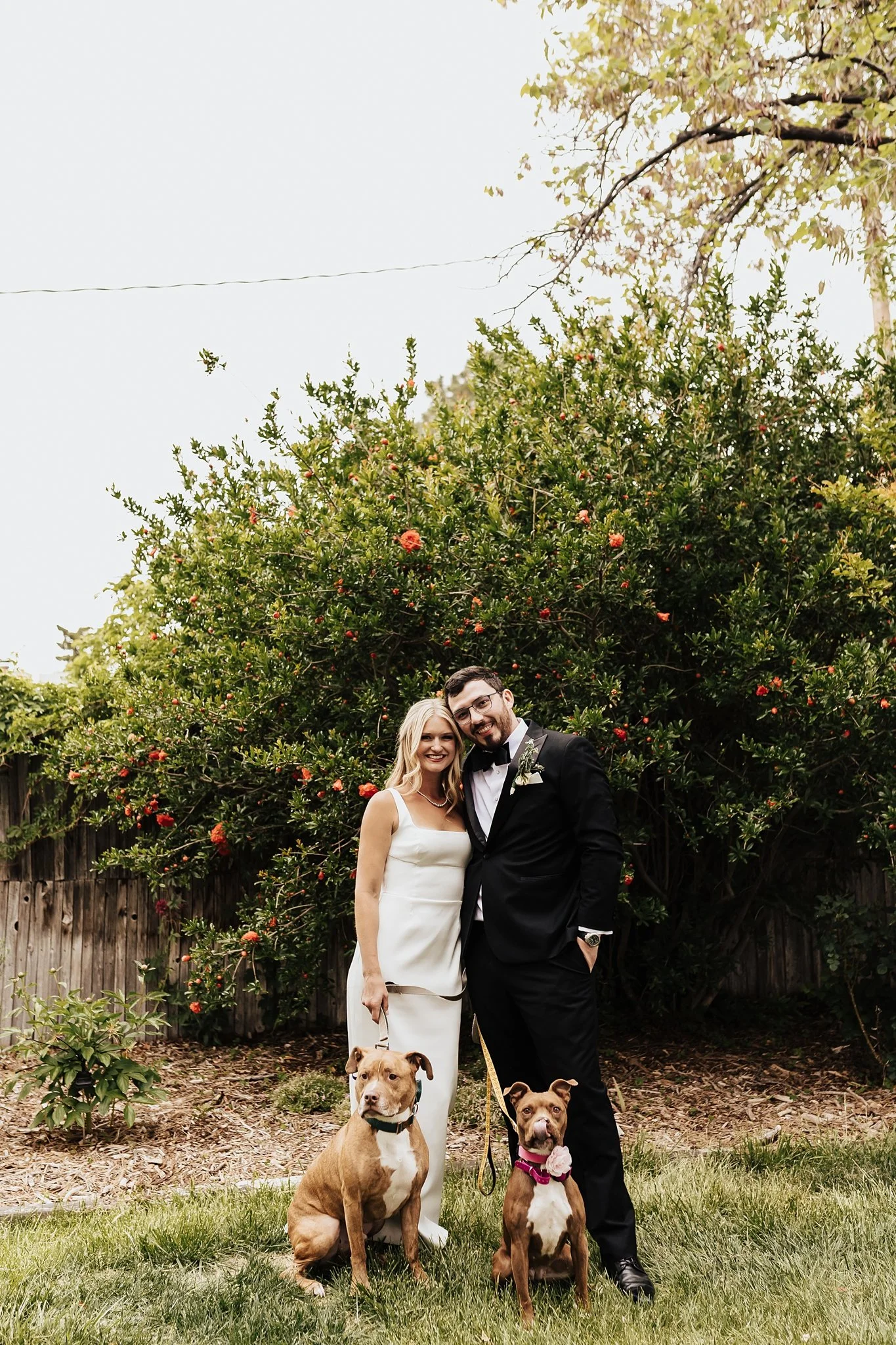 Alicia+lucia+photography+-+backyard+wedding+-+destination+wedding+-+albuquerque+wedding_0125.jpg