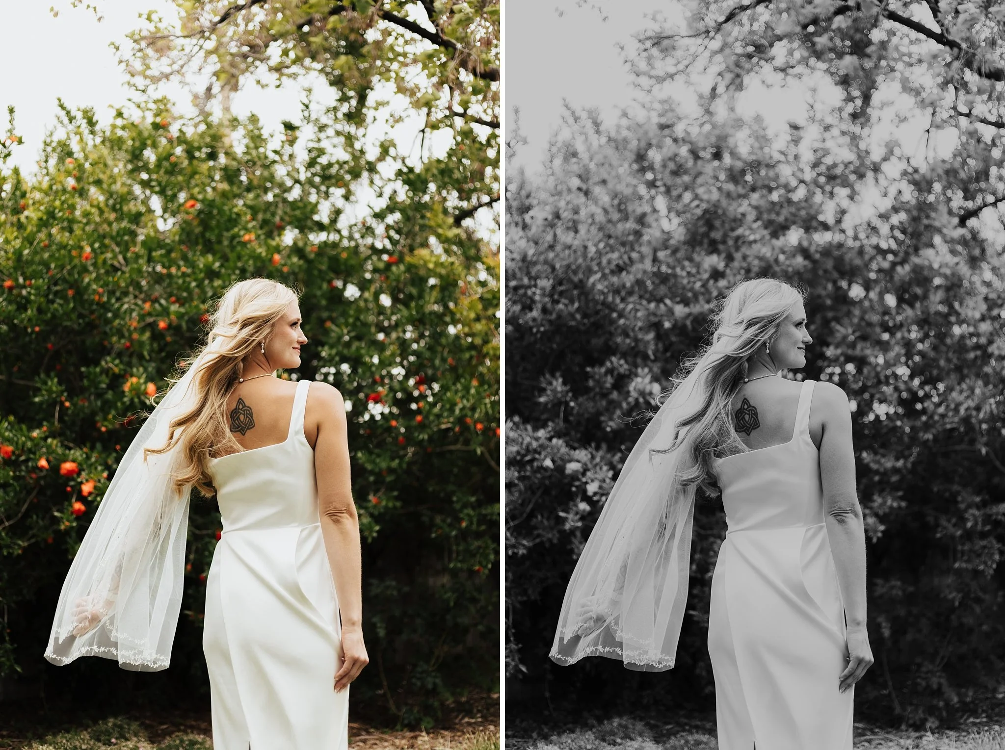 Alicia+lucia+photography+-+backyard+wedding+-+destination+wedding+-+albuquerque+wedding_0101.jpg