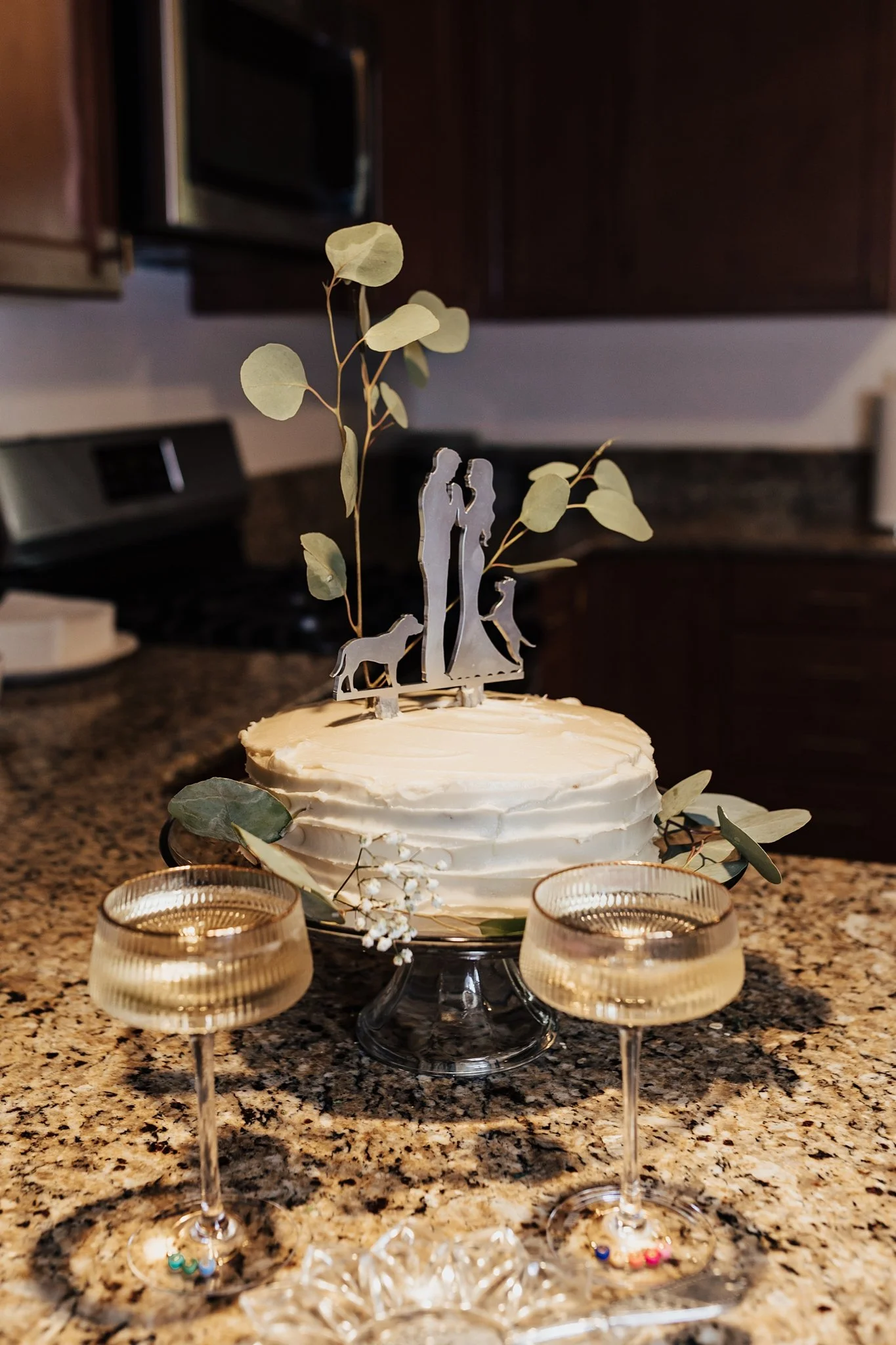 Alicia+lucia+photography+-+backyard+wedding+-+destination+wedding+-+albuquerque+wedding_0119.jpg
