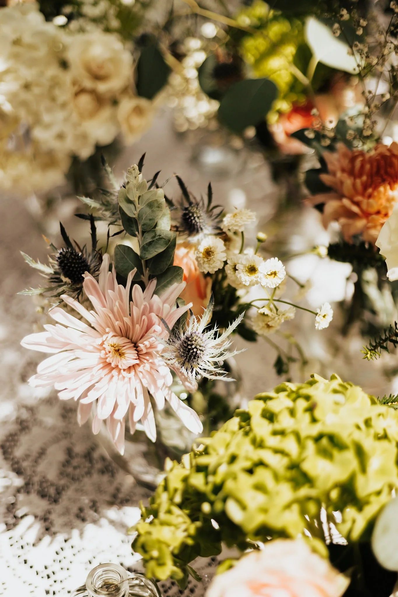 Alicia+lucia+photography+-+backyard+wedding+-+destination+wedding+-+albuquerque+wedding_0121.jpg