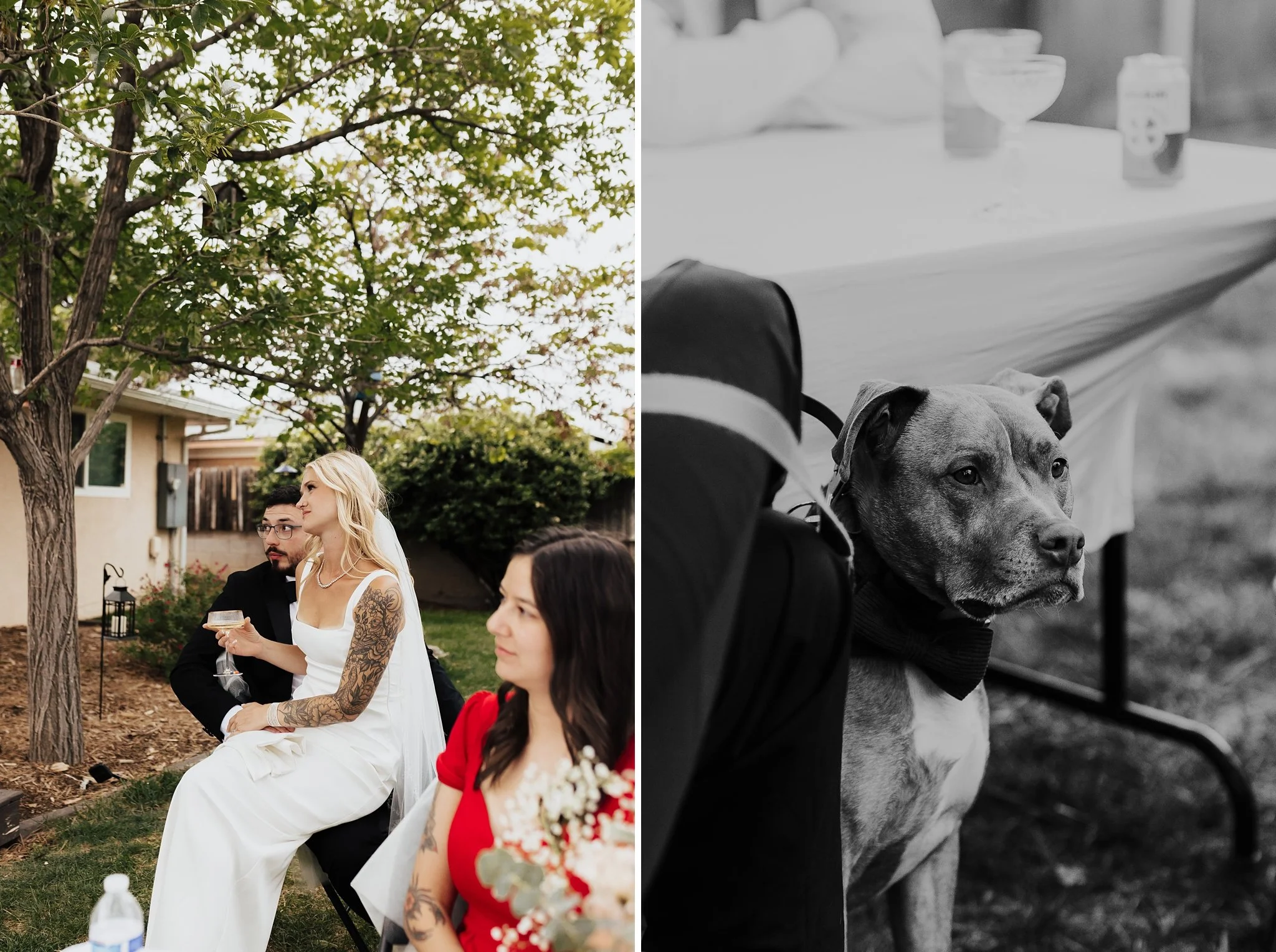 Alicia+lucia+photography+-+backyard+wedding+-+destination+wedding+-+albuquerque+wedding_0141.jpg