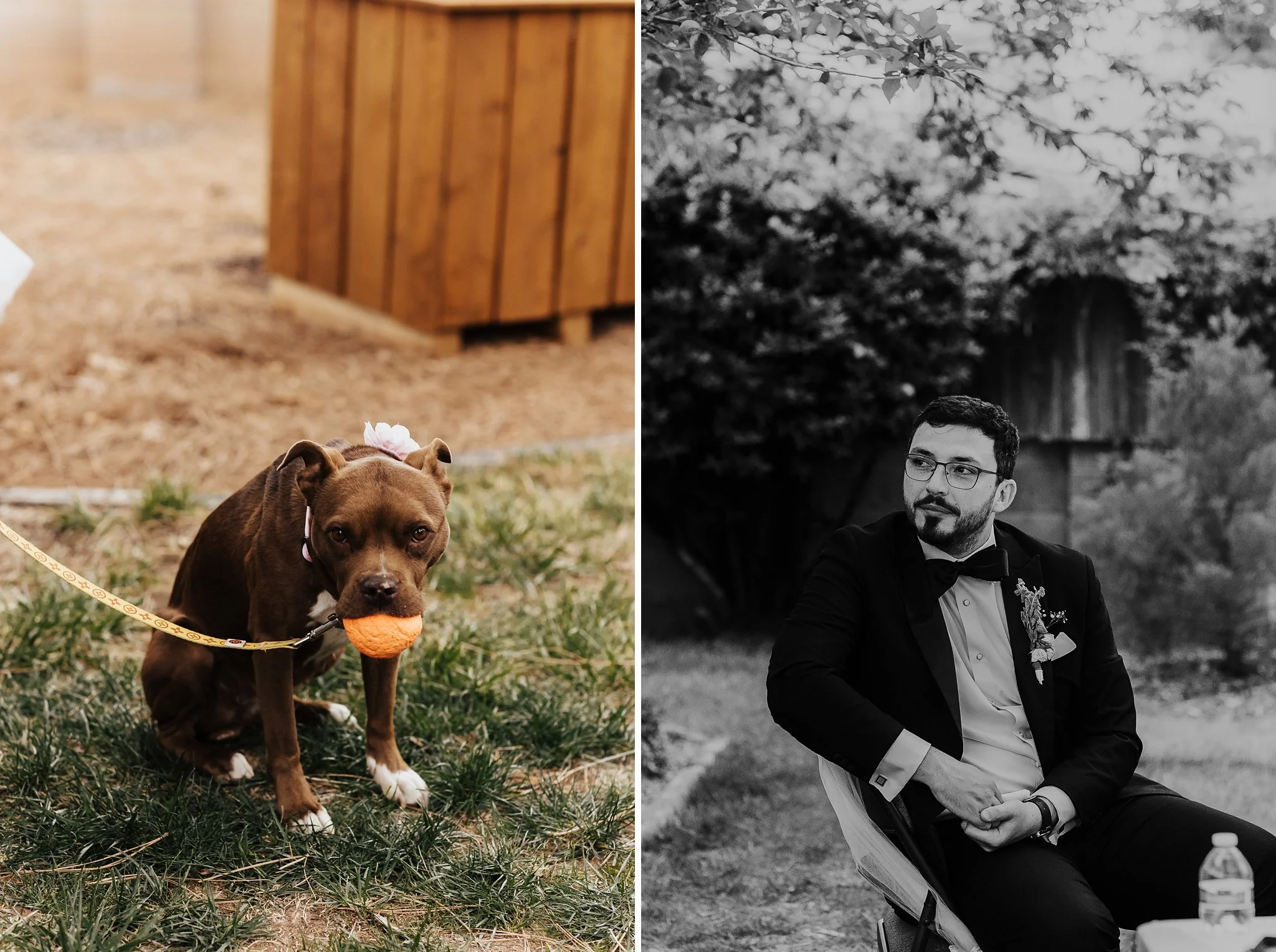 Alicia+lucia+photography+-+backyard+wedding+-+destination+wedding+-+albuquerque+wedding_0145.jpg