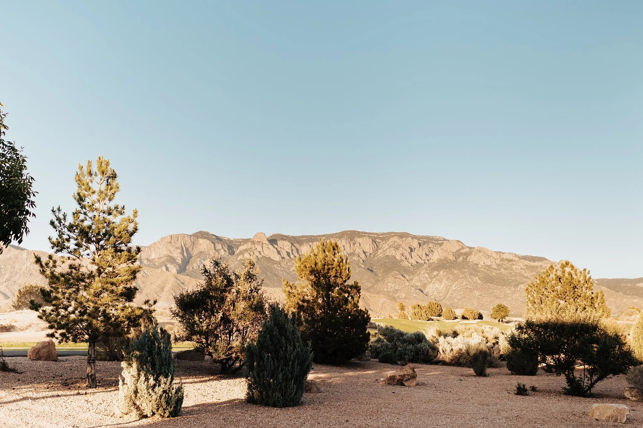 Alicia+lucia+photography+-+southwest+wedding+-+sandia+golf+club+-+destination+wedding_0073.jpg