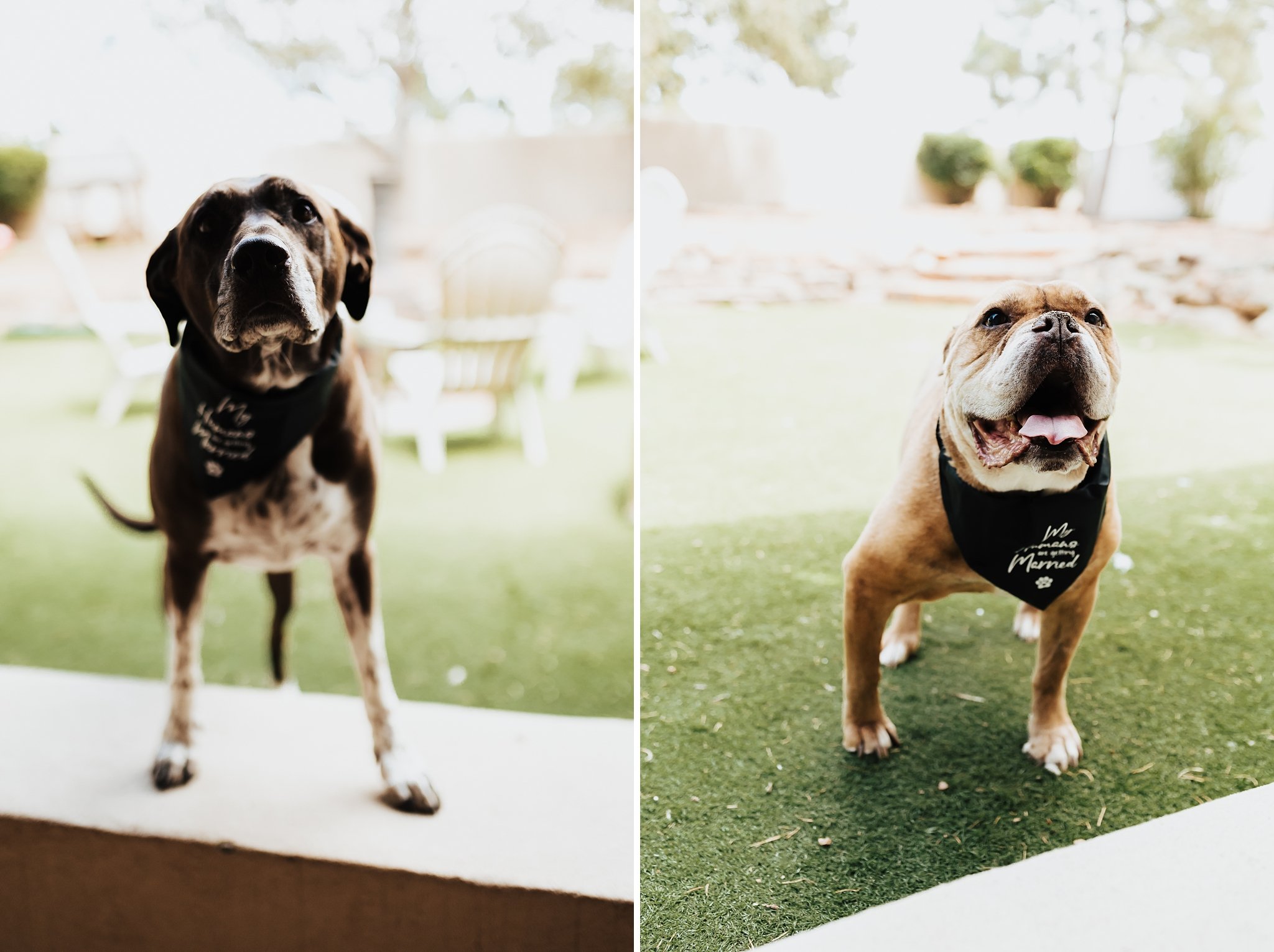 Alicia+lucia+photography+-+mountain+wedding+-+hyde+state+park+-+hyde+state+park+wedding+-+santa+fe+wedding_0009.jpg