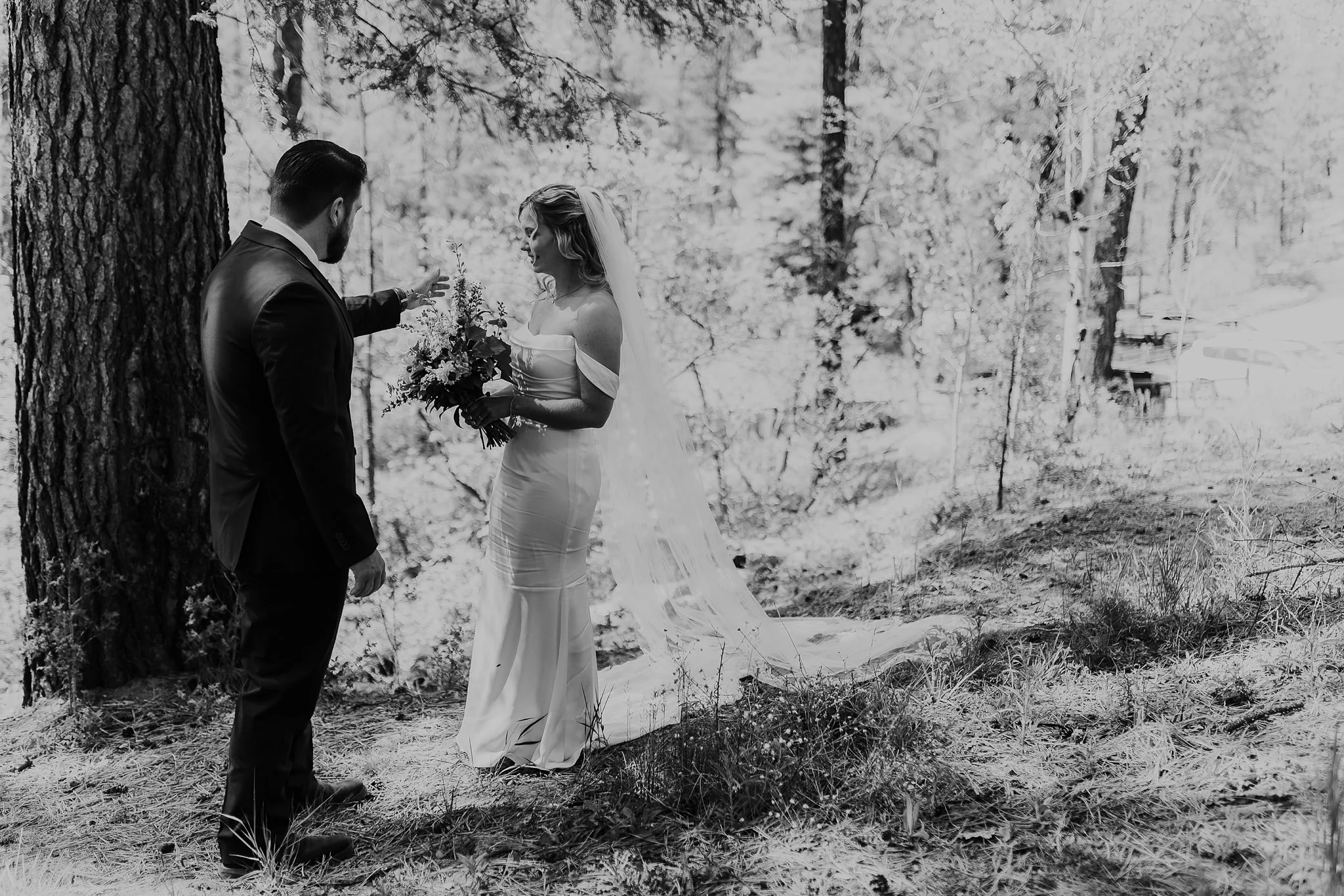 Alicia+lucia+photography+-+mountain+wedding+-+hyde+state+park+-+hyde+state+park+wedding+-+santa+fe+wedding_0026.jpg