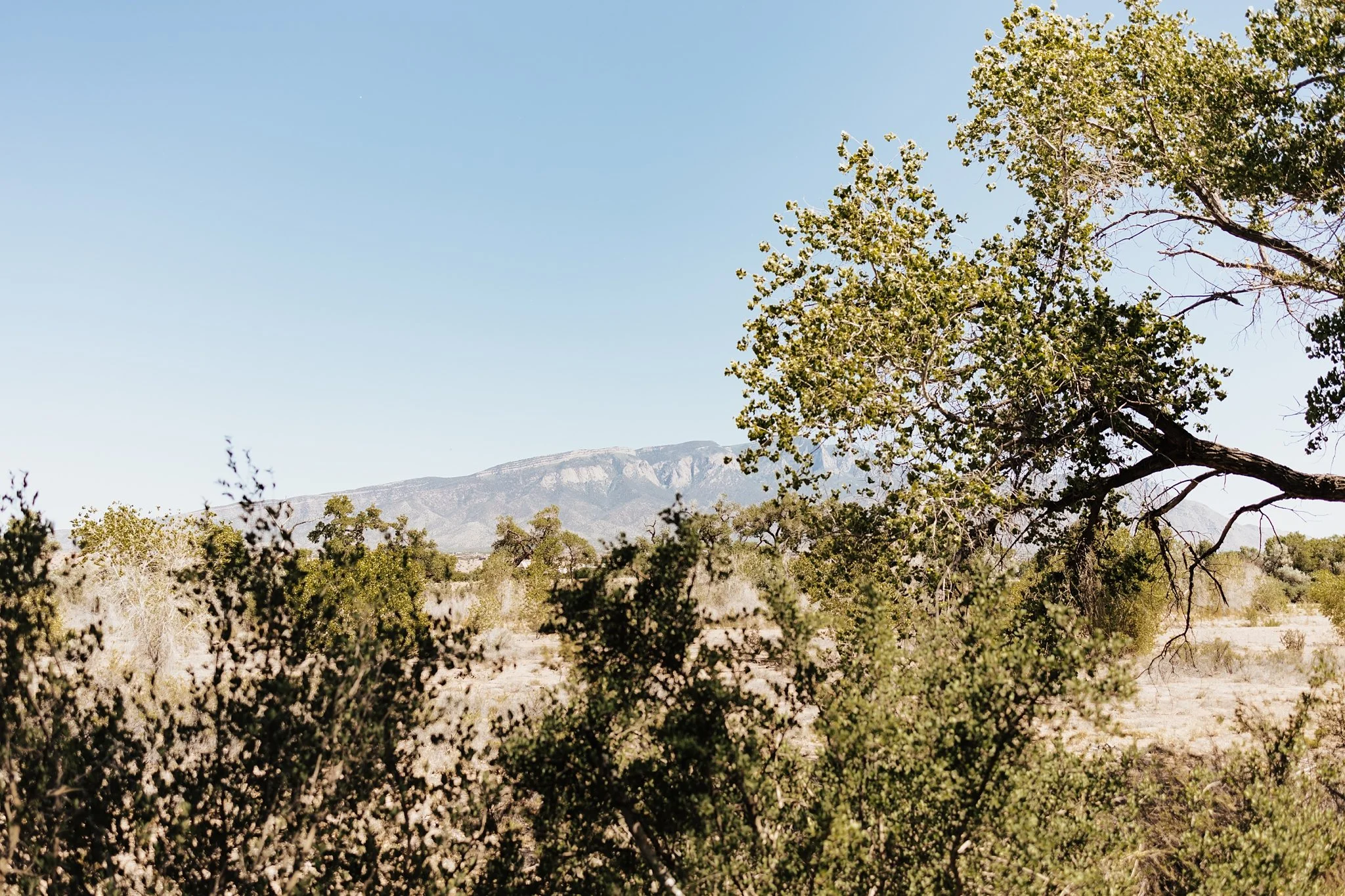 Alicia+lucia+photography+-+tamaya+wedding+-+southwest+wedding+-+new+mexico+wedding_0021.jpg