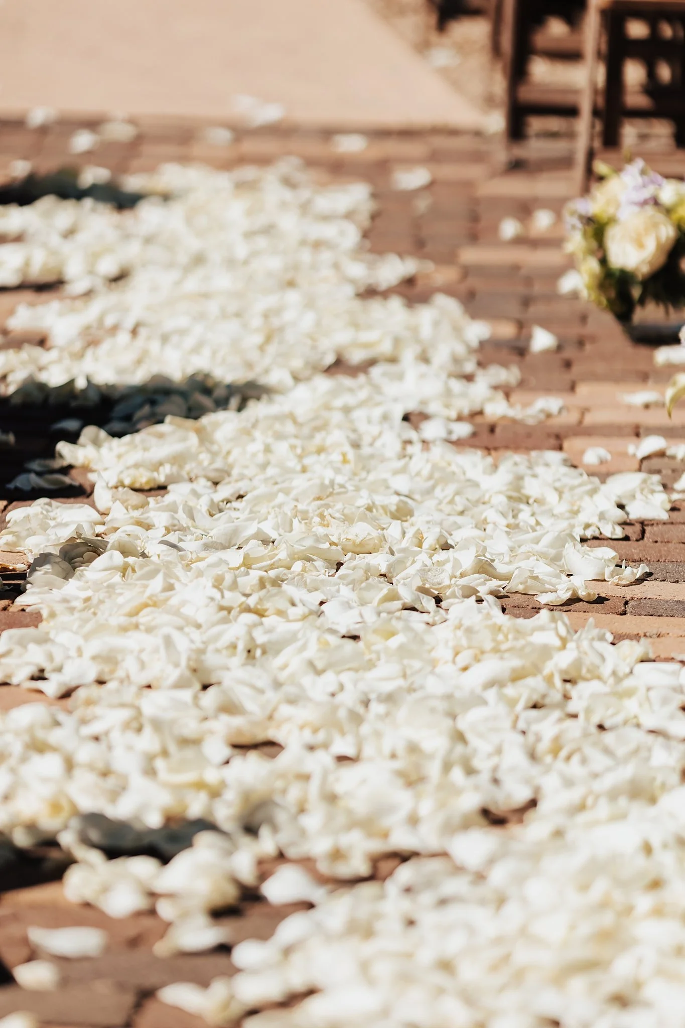 Alicia+lucia+photography+-+tamaya+wedding+-+southwest+wedding+-+new+mexico+wedding_0027.jpg