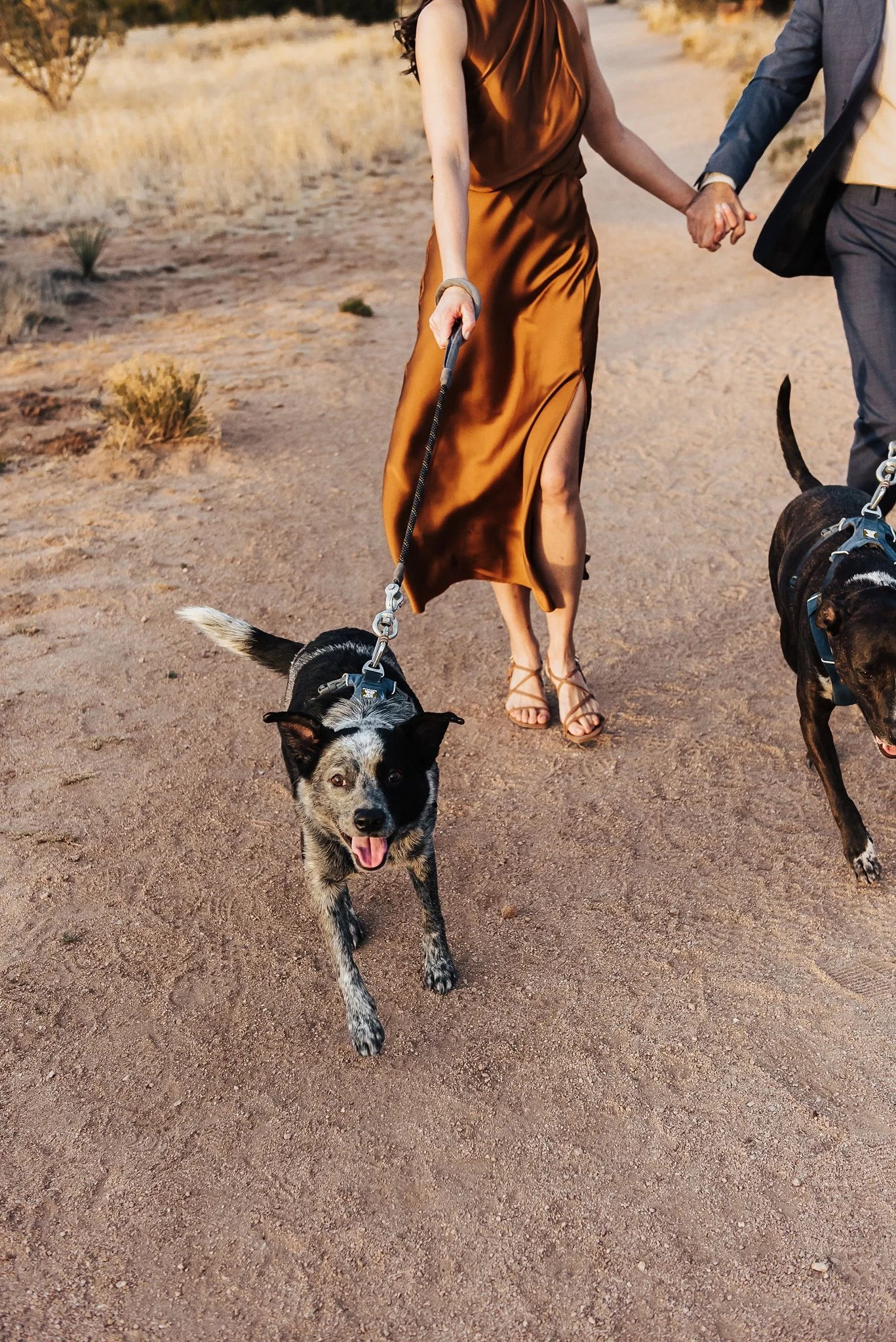 Alicia+lucia+photography+-+desert+engagement+-+southwest+engagement+-+new+mexico+engagement_0062.jpg