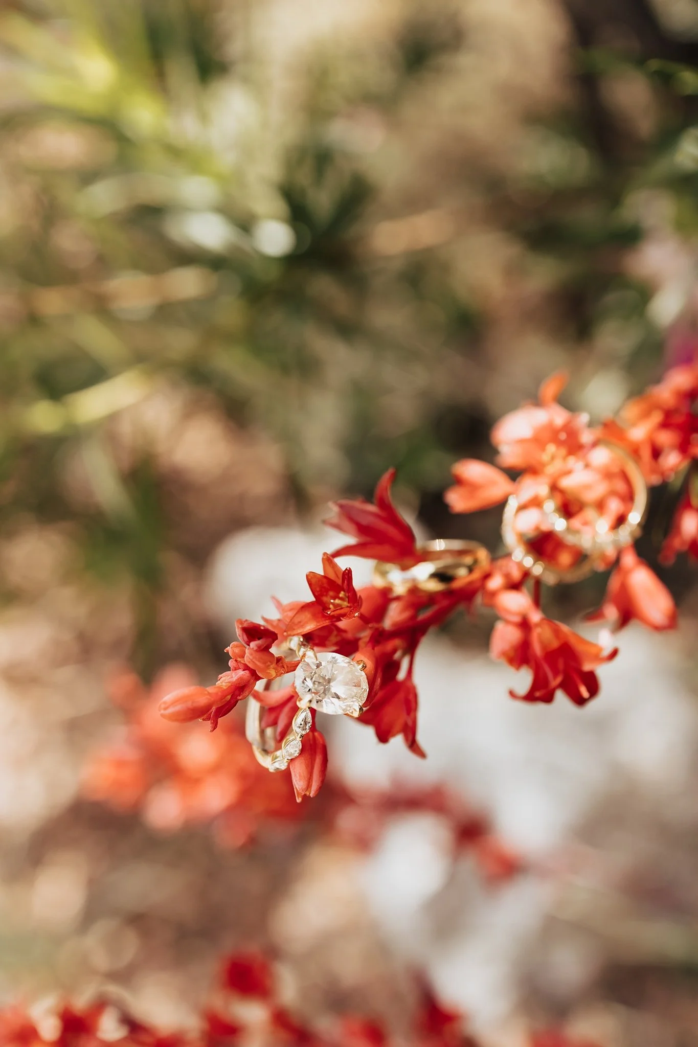 Alicia+lucia+photography+-+los+poblanos+-+los+poblanos+wedding+-+destination+wedding_0010.jpg