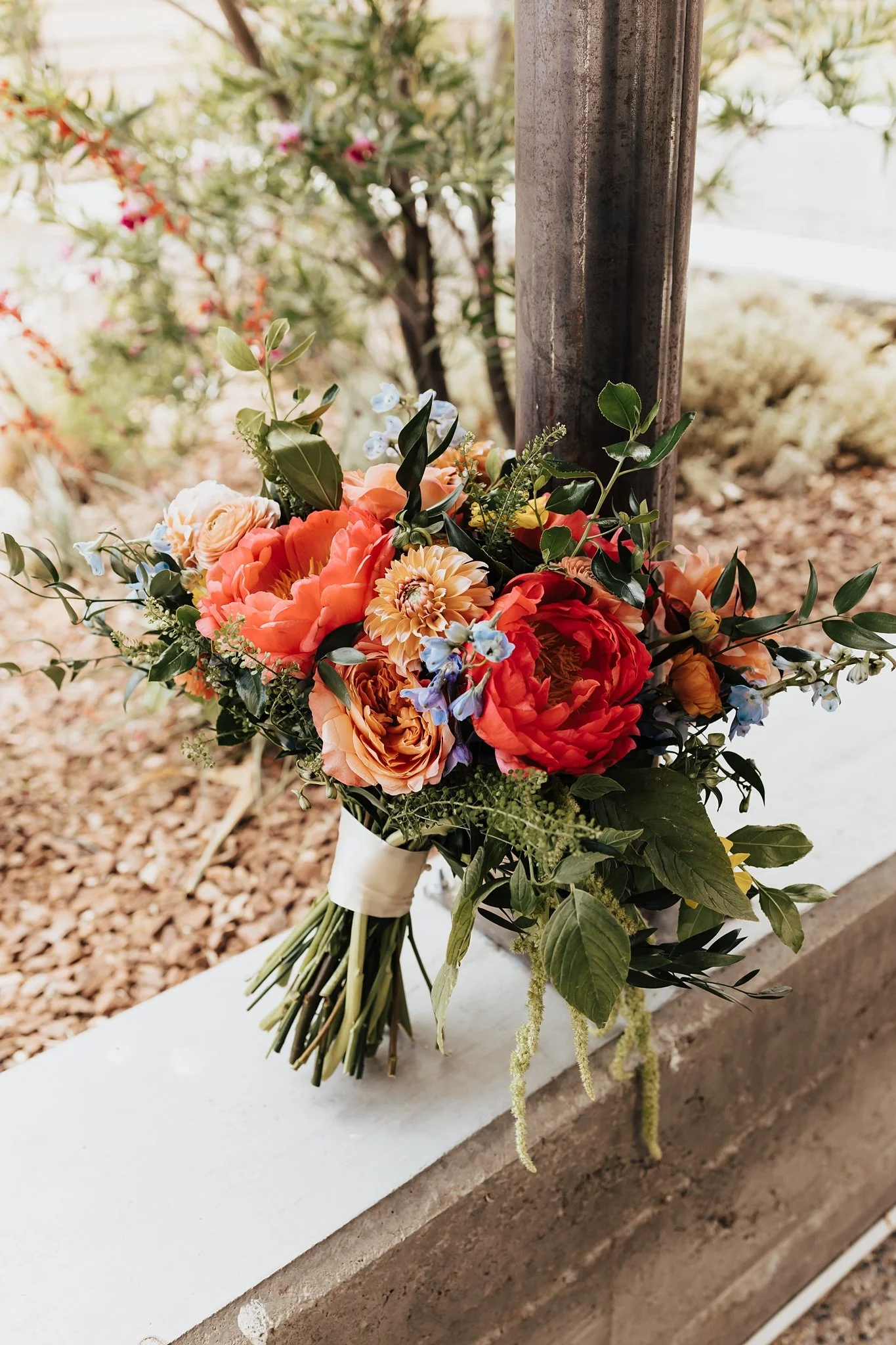 Alicia+lucia+photography+-+los+poblanos+-+los+poblanos+wedding+-+destination+wedding_0011.jpg