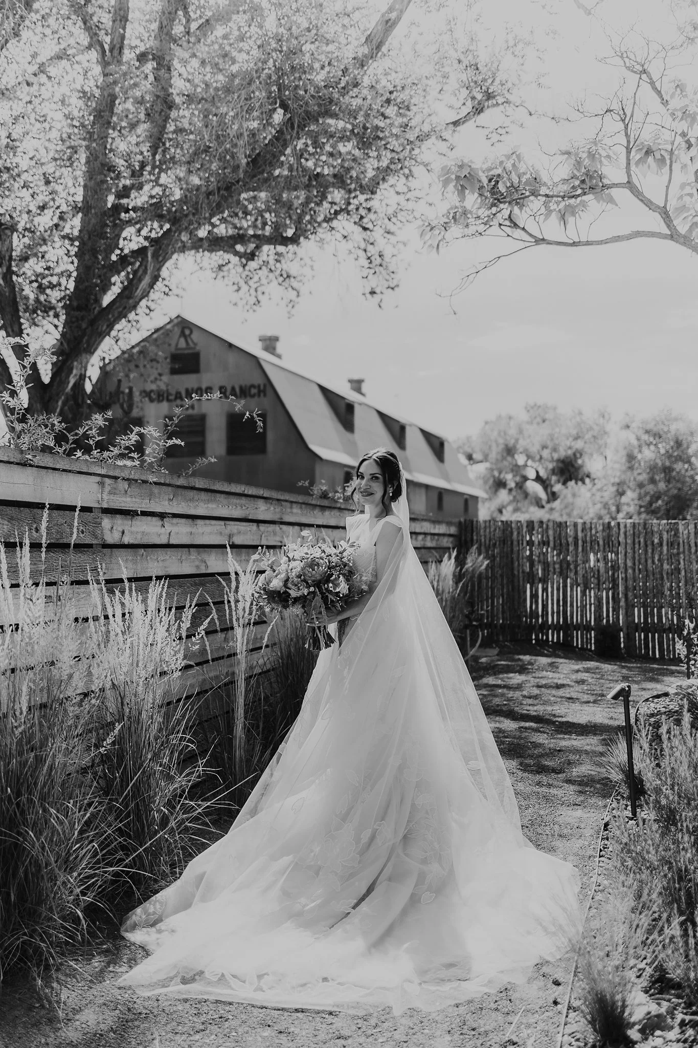 Alicia+lucia+photography+-+los+poblanos+-+los+poblanos+wedding+-+destination+wedding_0023.jpg