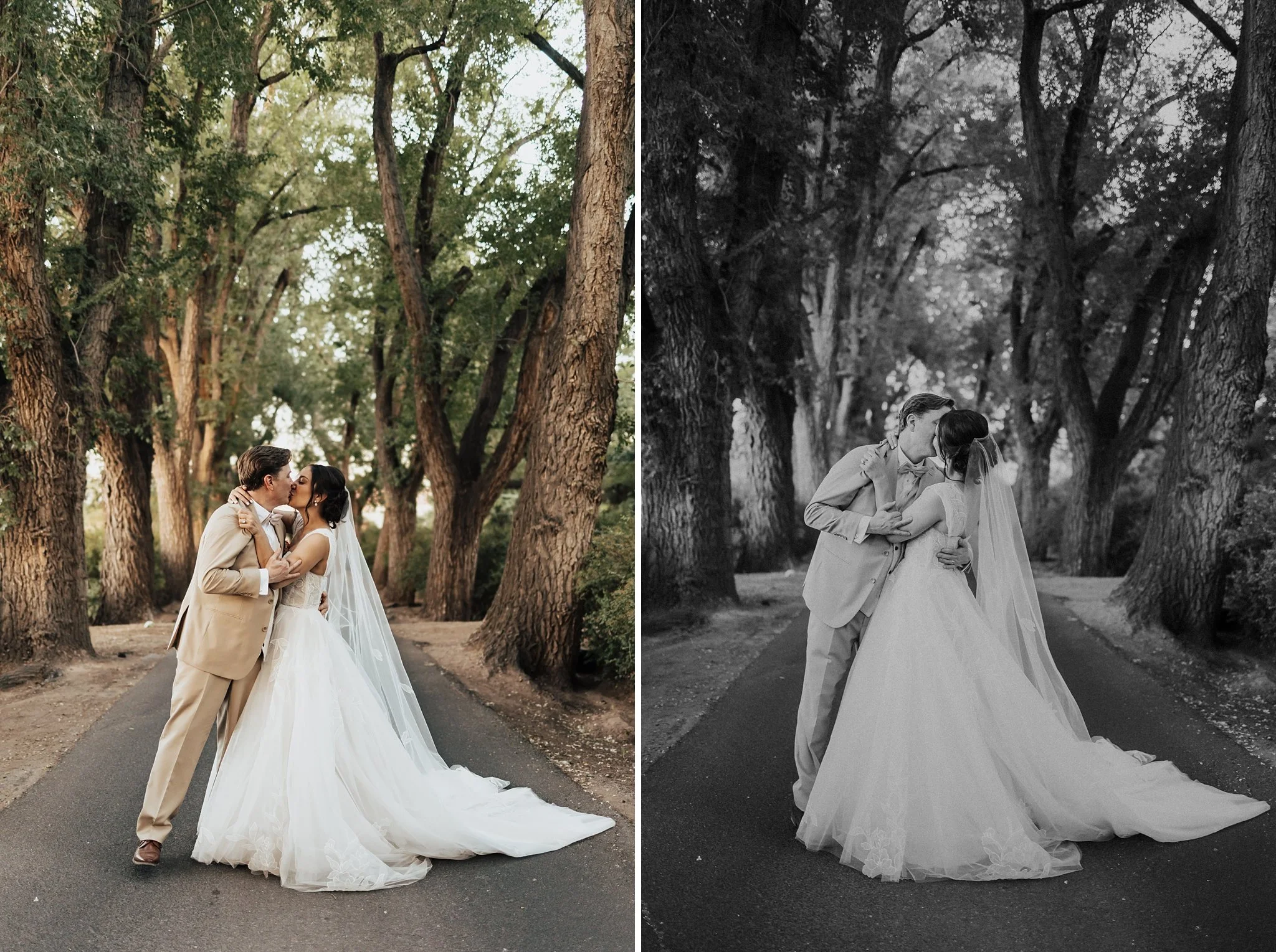 Alicia+lucia+photography+-+los+poblanos+-+los+poblanos+wedding+-+destination+wedding_0110.jpg