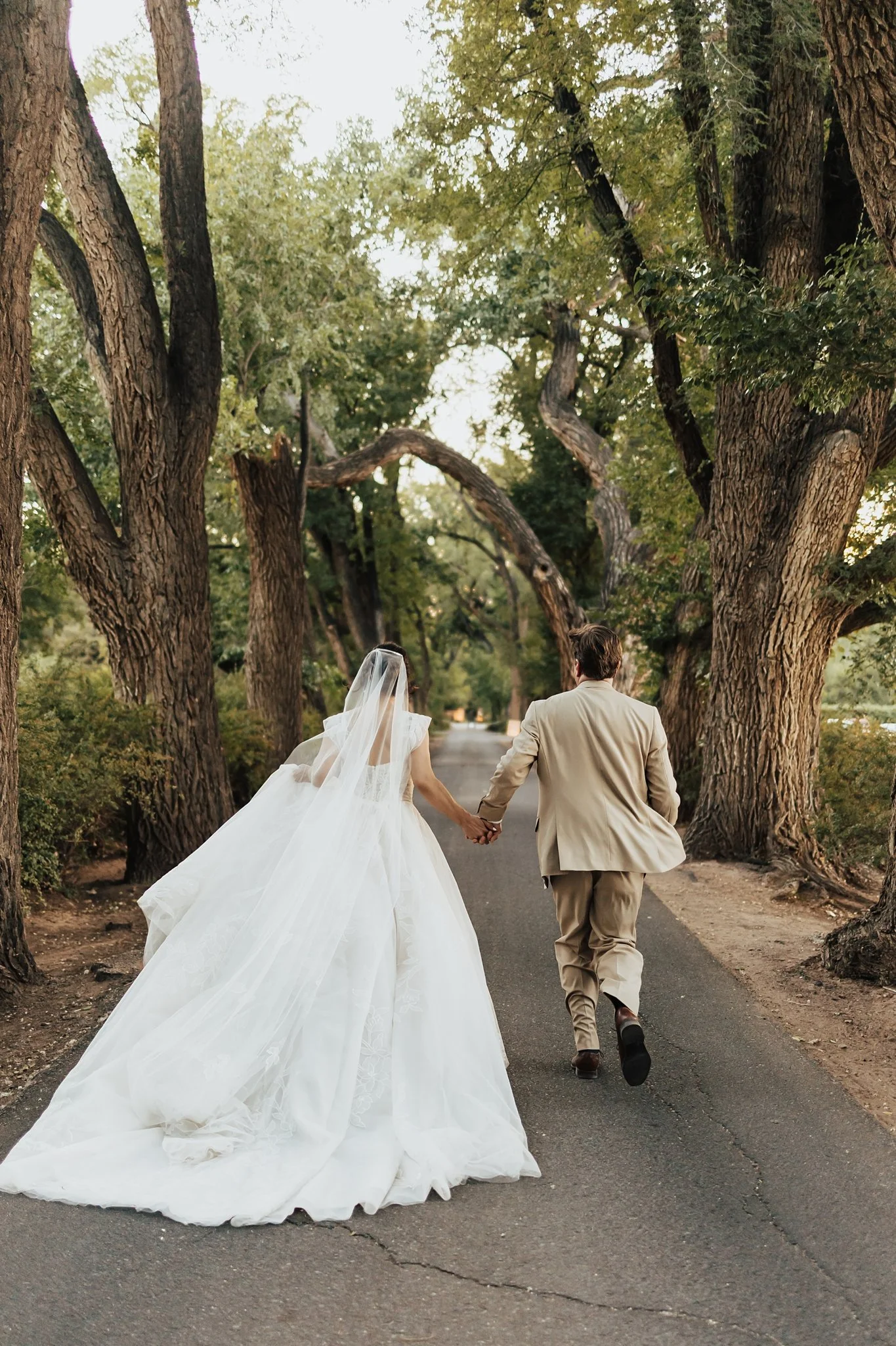 Alicia+lucia+photography+-+los+poblanos+-+los+poblanos+wedding+-+destination+wedding_0117.jpg