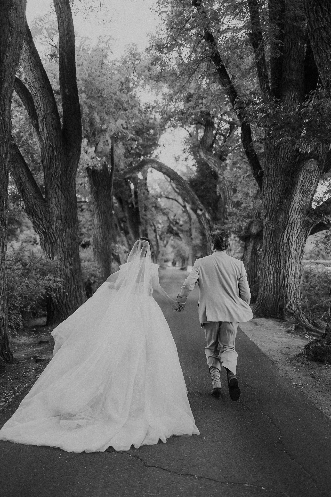 Alicia+lucia+photography+-+los+poblanos+-+los+poblanos+wedding+-+destination+wedding_0118.jpg
