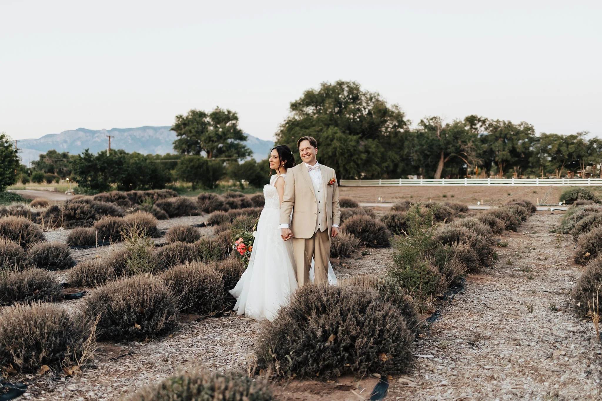 Alicia+lucia+photography+-+los+poblanos+-+los+poblanos+wedding+-+destination+wedding_0119.jpg
