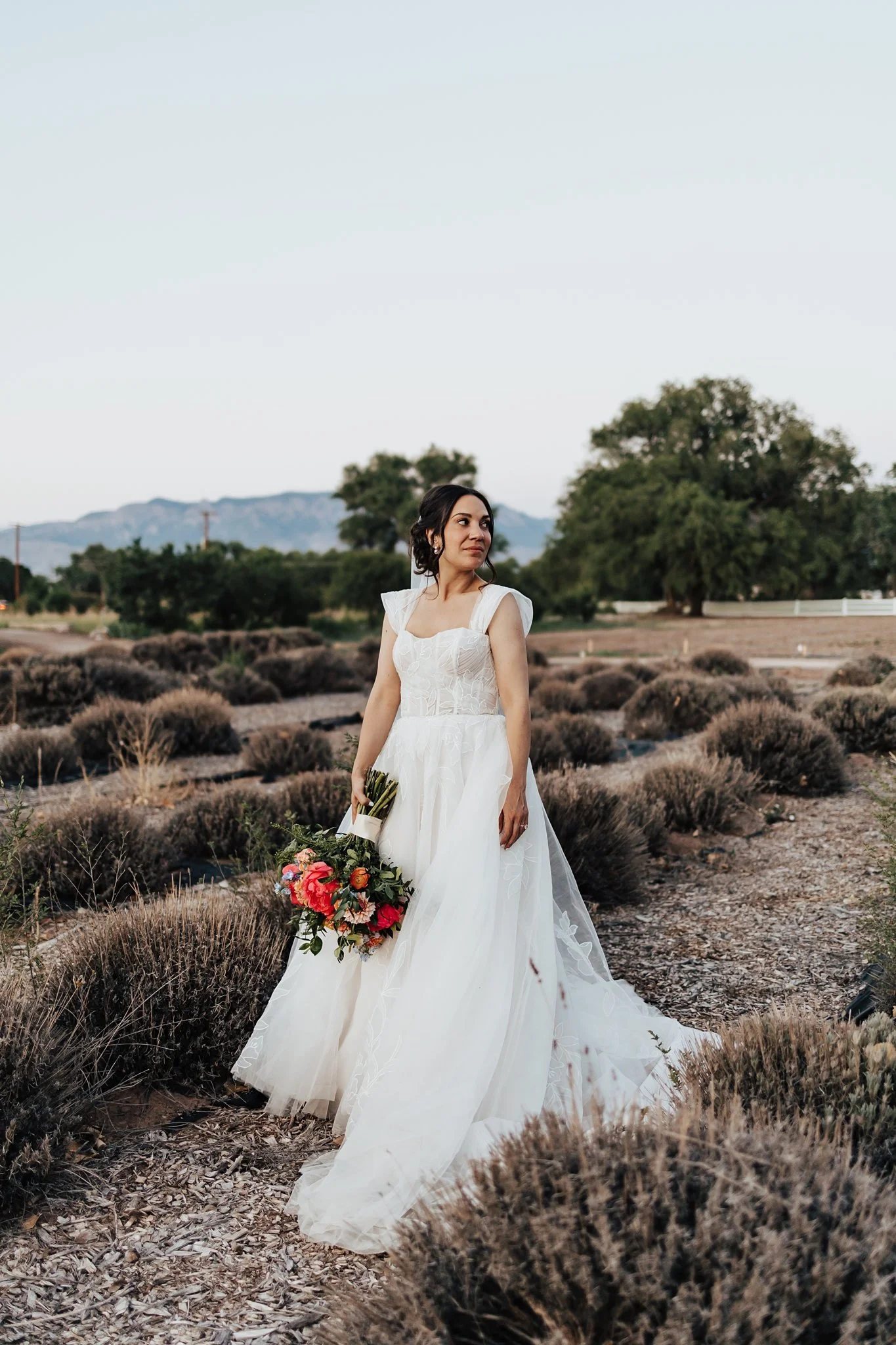 Alicia+lucia+photography+-+los+poblanos+-+los+poblanos+wedding+-+destination+wedding_0125.jpg