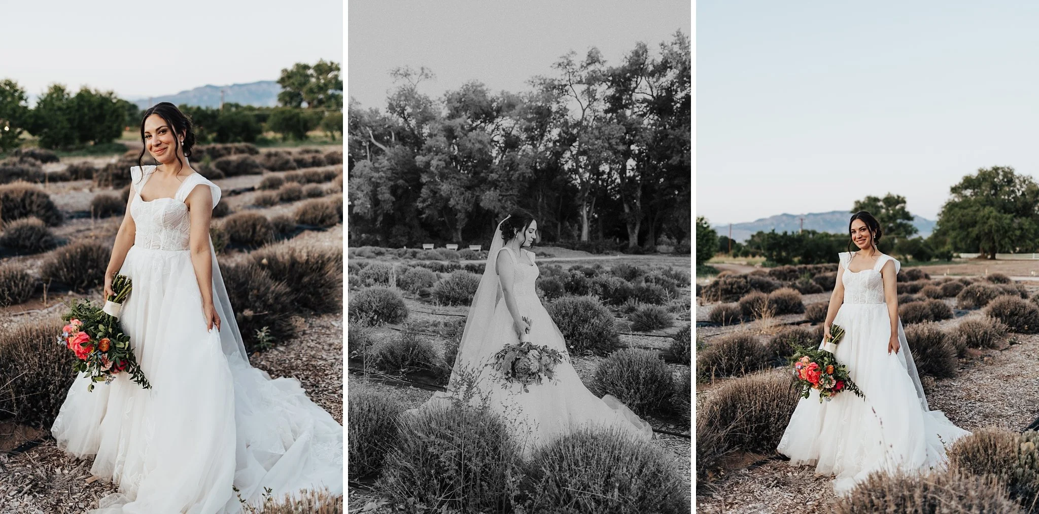Alicia+lucia+photography+-+los+poblanos+-+los+poblanos+wedding+-+destination+wedding_0126.jpg