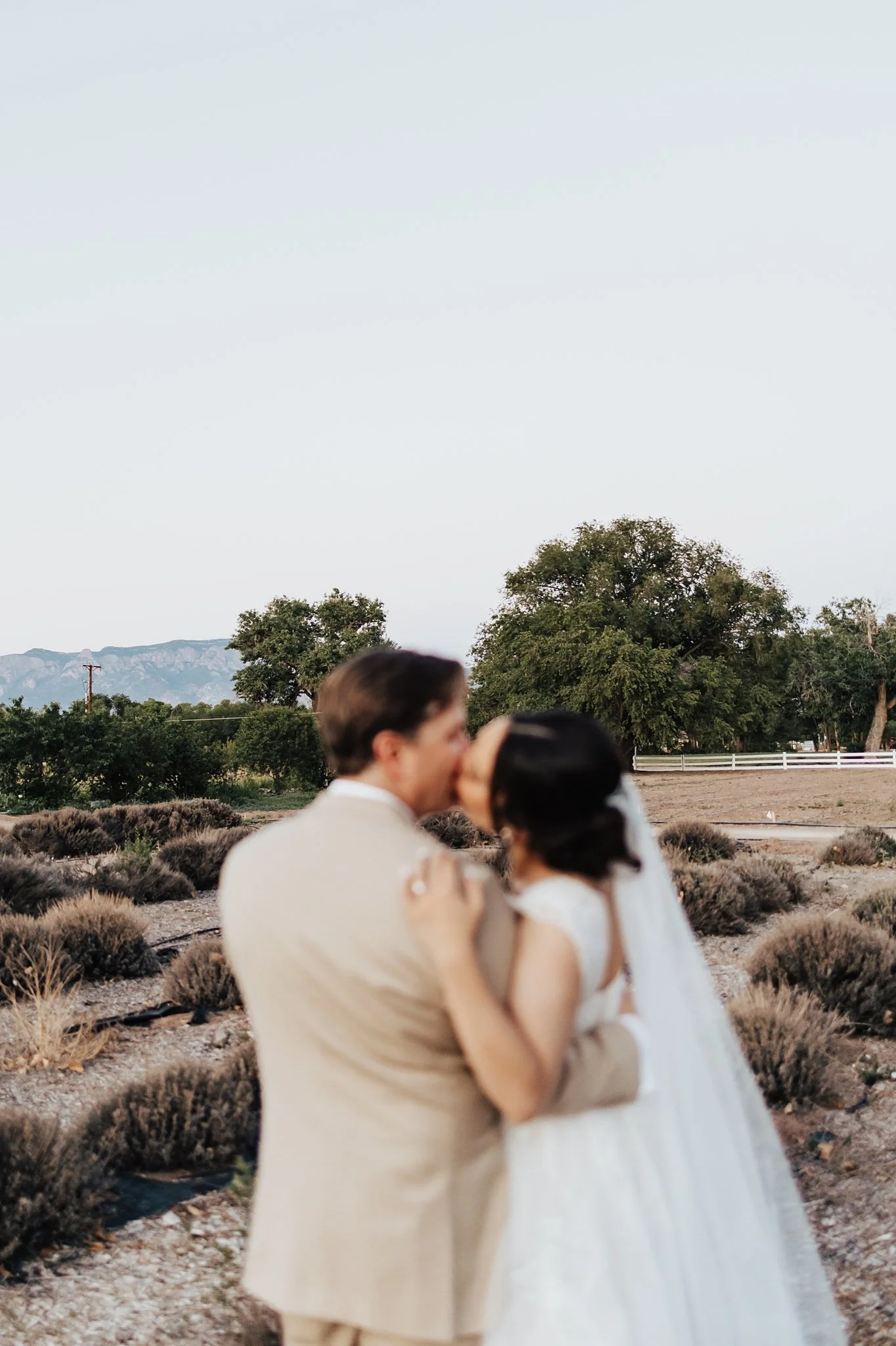 Alicia+lucia+photography+-+los+poblanos+-+los+poblanos+wedding+-+destination+wedding_0127.jpg