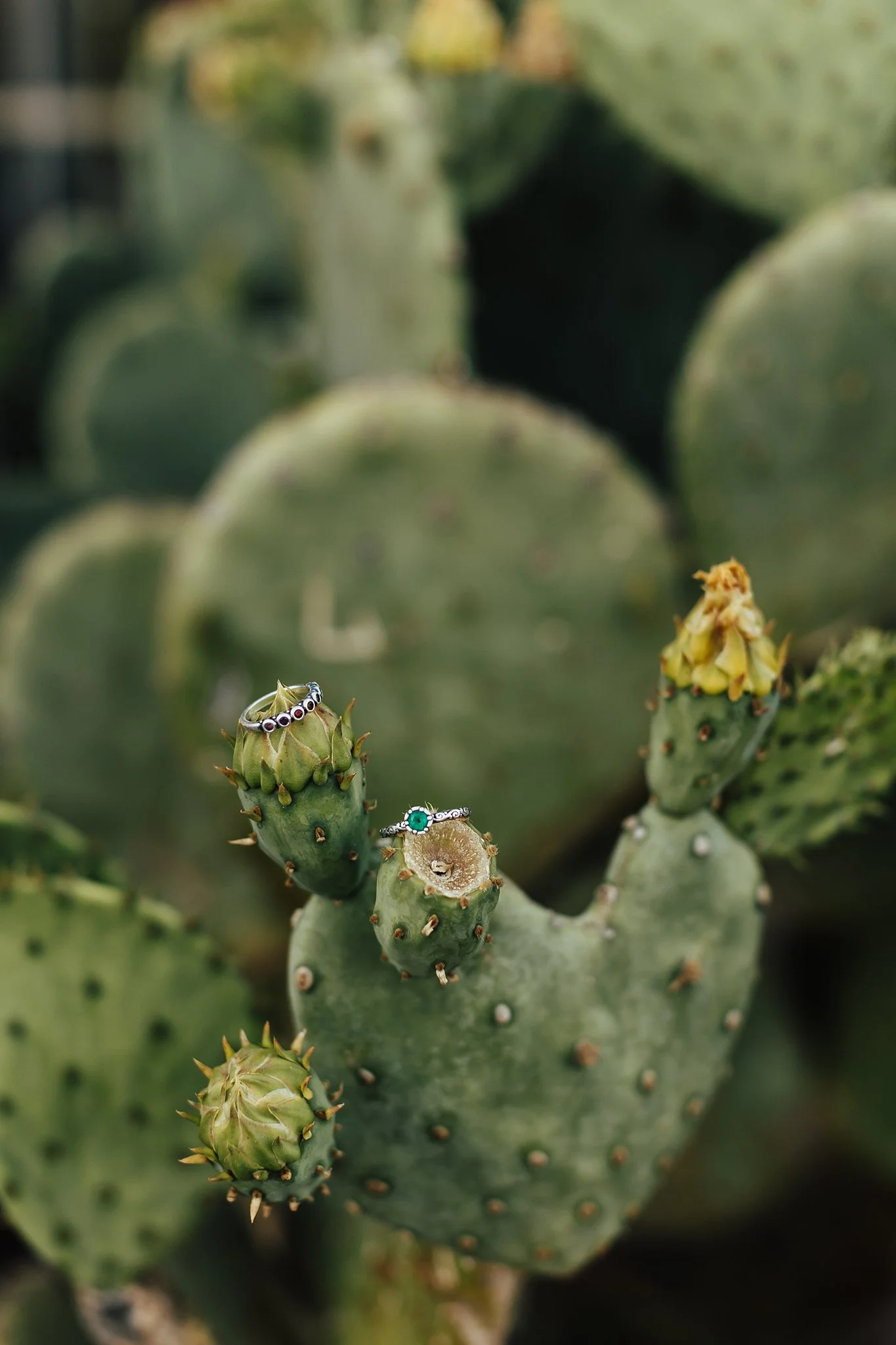 Alicia+lucia+photography+-+old+town+engagement+-+old+town+wedding+-+southwest+engagement_0007.jpg
