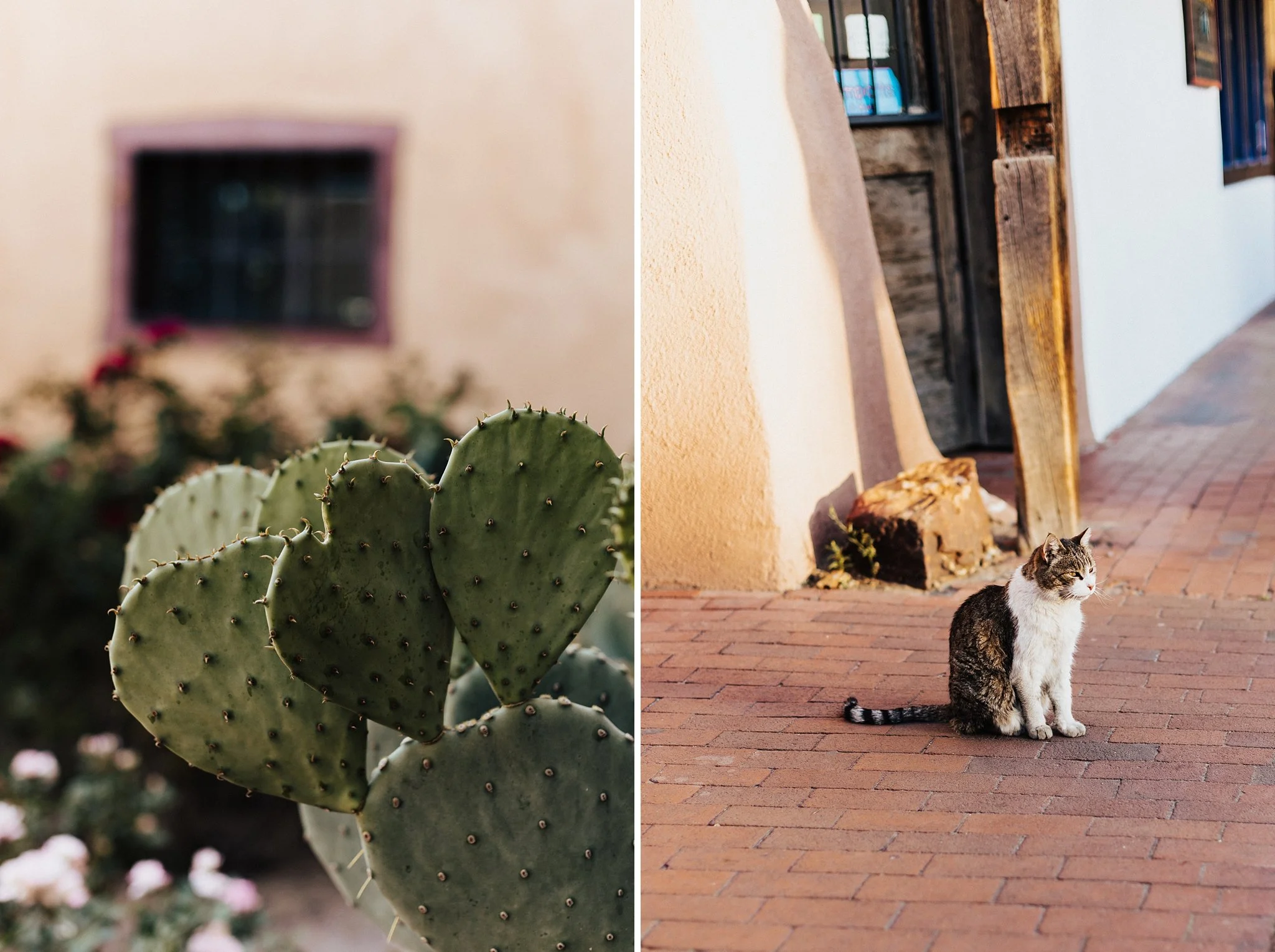 Alicia+lucia+photography+-+old+town+engagement+-+old+town+wedding+-+southwest+engagement_0046.jpg
