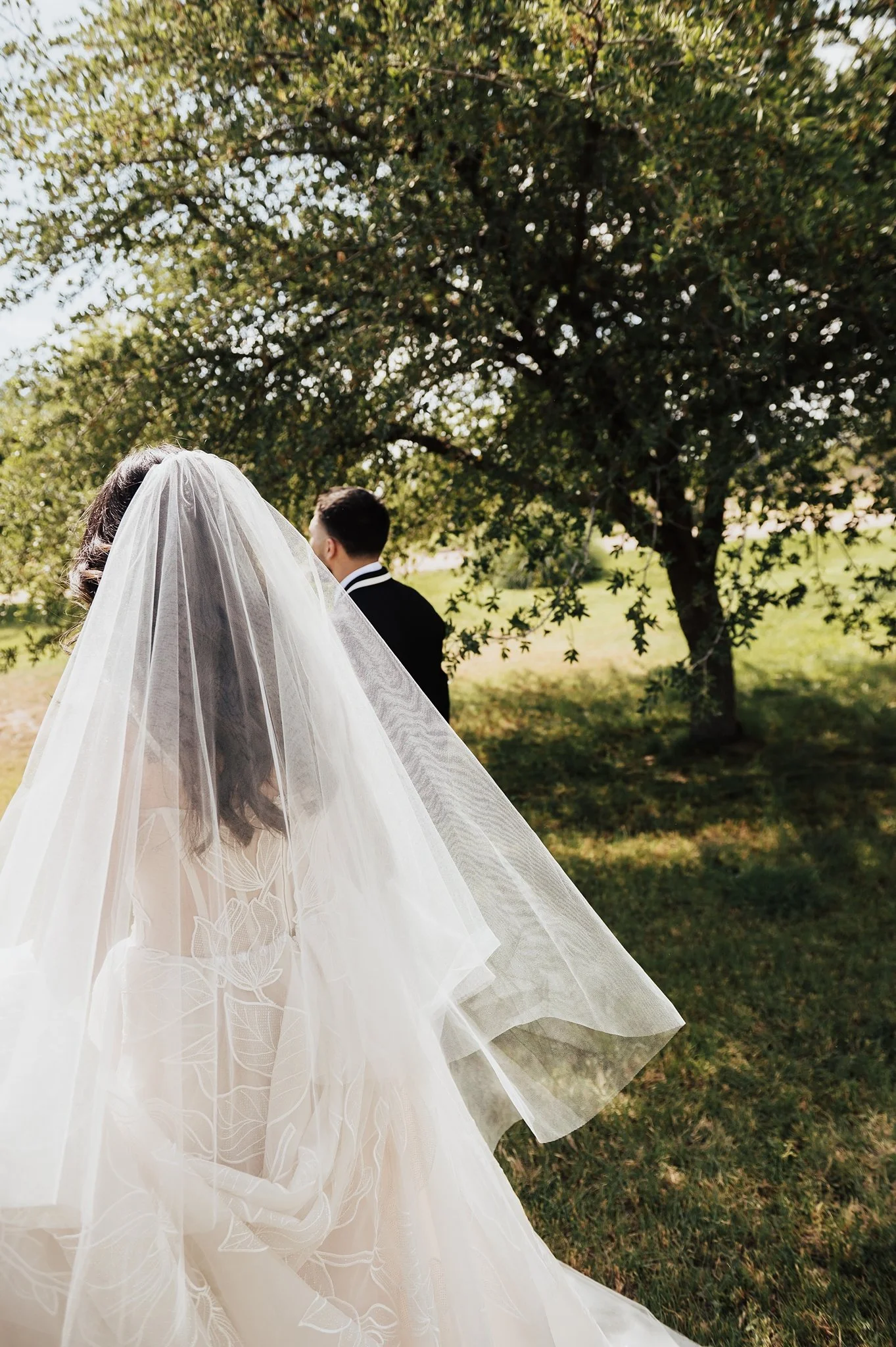 Alicia+lucia+photography+-+backyard+wedding+-+destination+wedding+-+southwest+wedding_0015.jpg