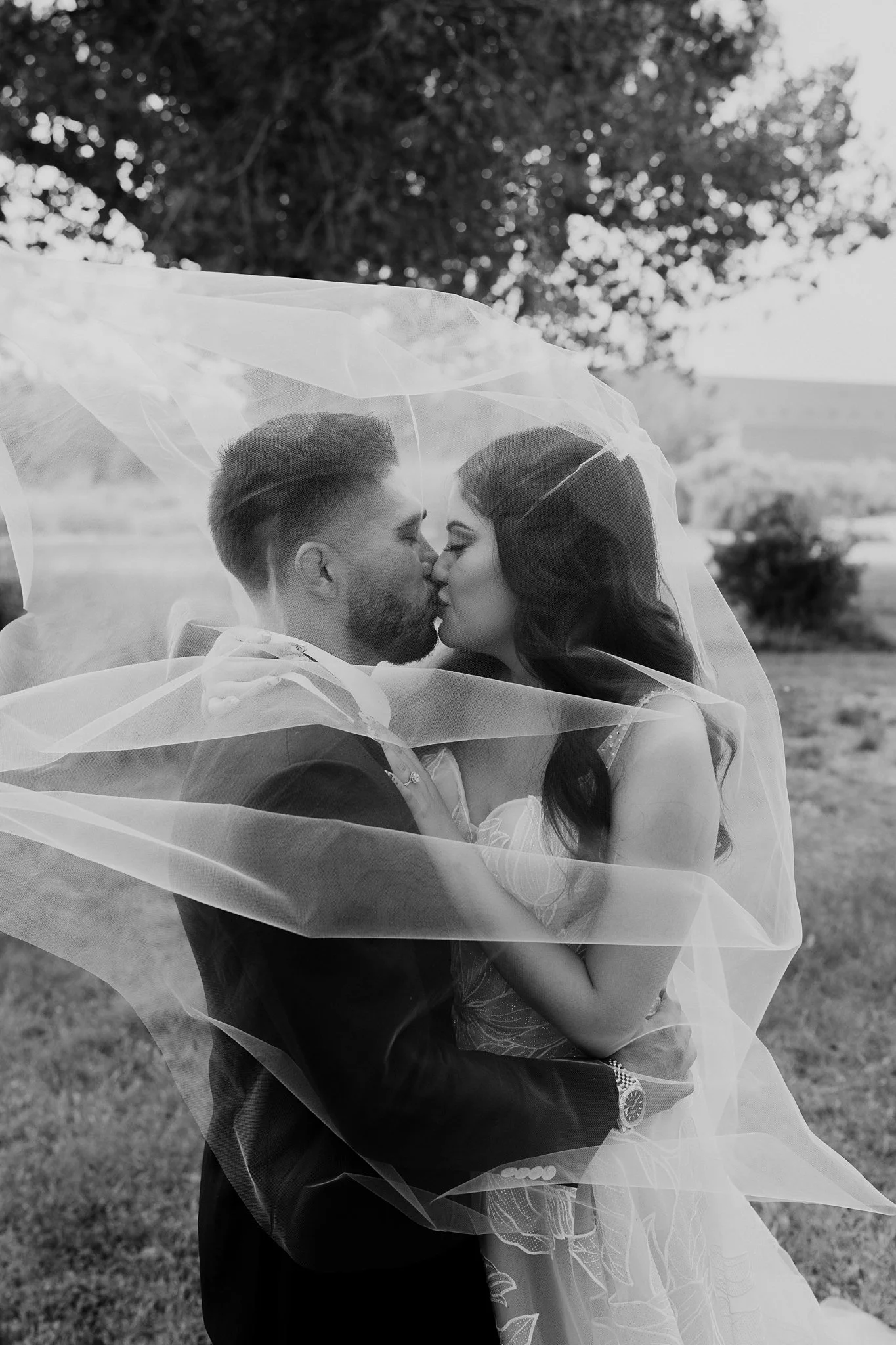 Alicia+lucia+photography+-+backyard+wedding+-+destination+wedding+-+southwest+wedding_0043.jpg