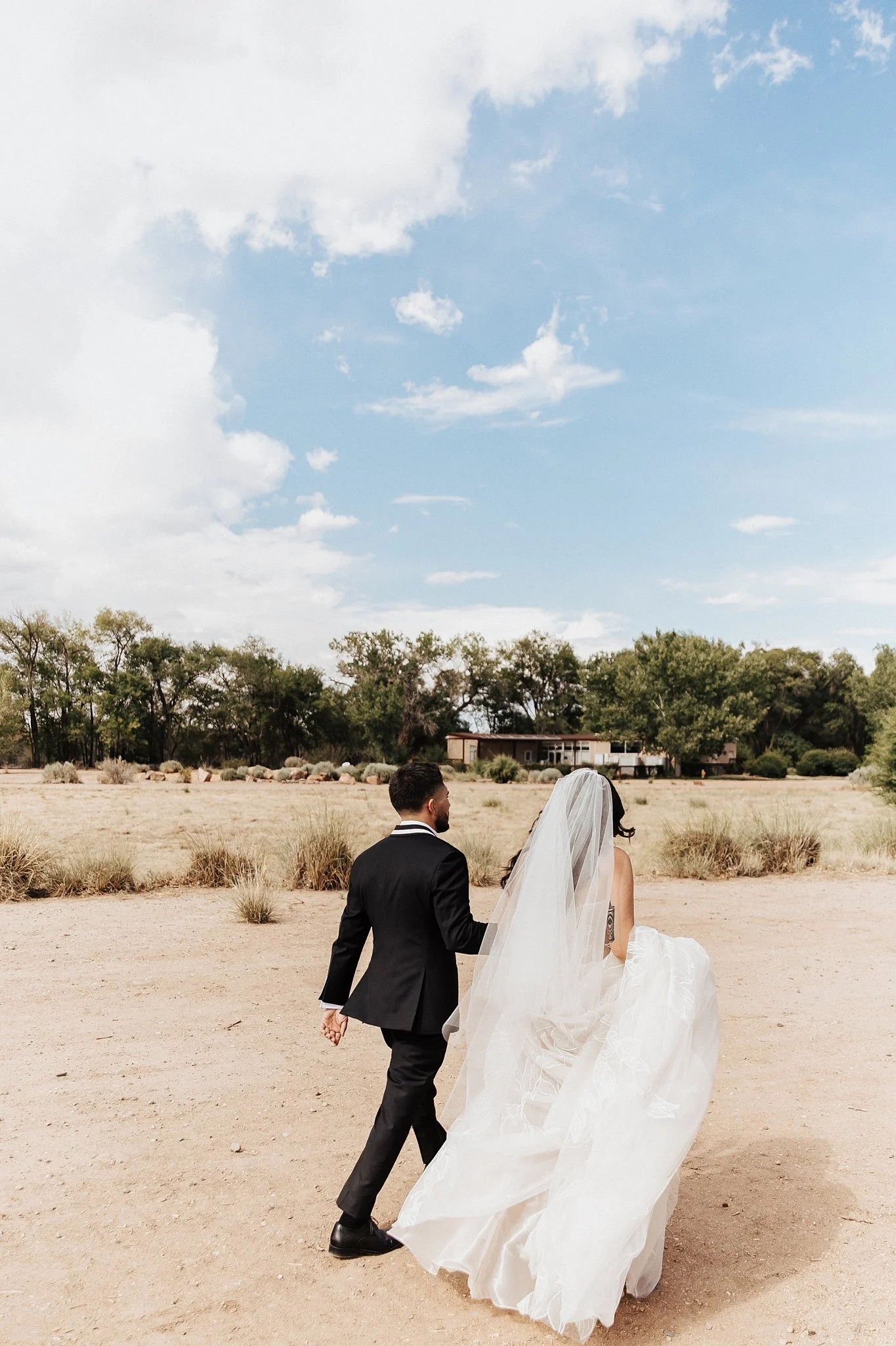 Alicia+lucia+photography+-+backyard+wedding+-+destination+wedding+-+southwest+wedding_0044.jpg