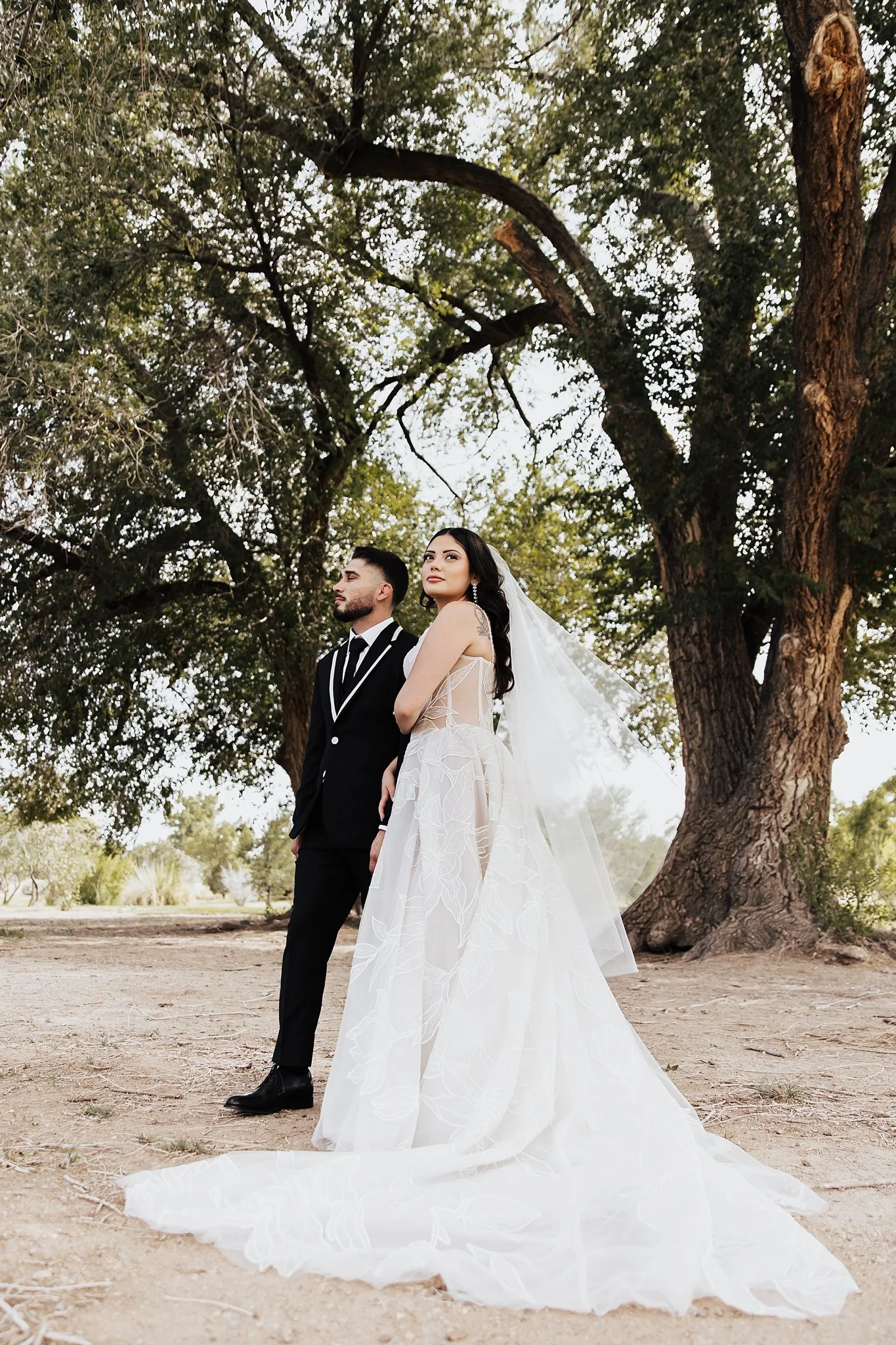 Alicia+lucia+photography+-+backyard+wedding+-+destination+wedding+-+southwest+wedding_0051.jpg