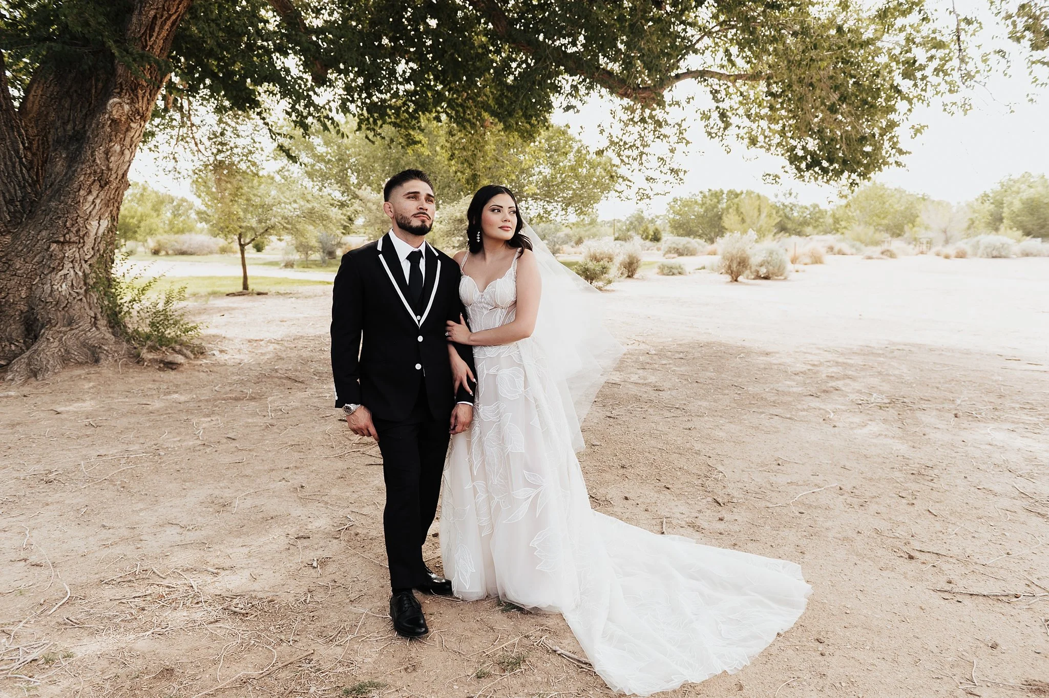 Alicia+lucia+photography+-+backyard+wedding+-+destination+wedding+-+southwest+wedding_0052.jpg