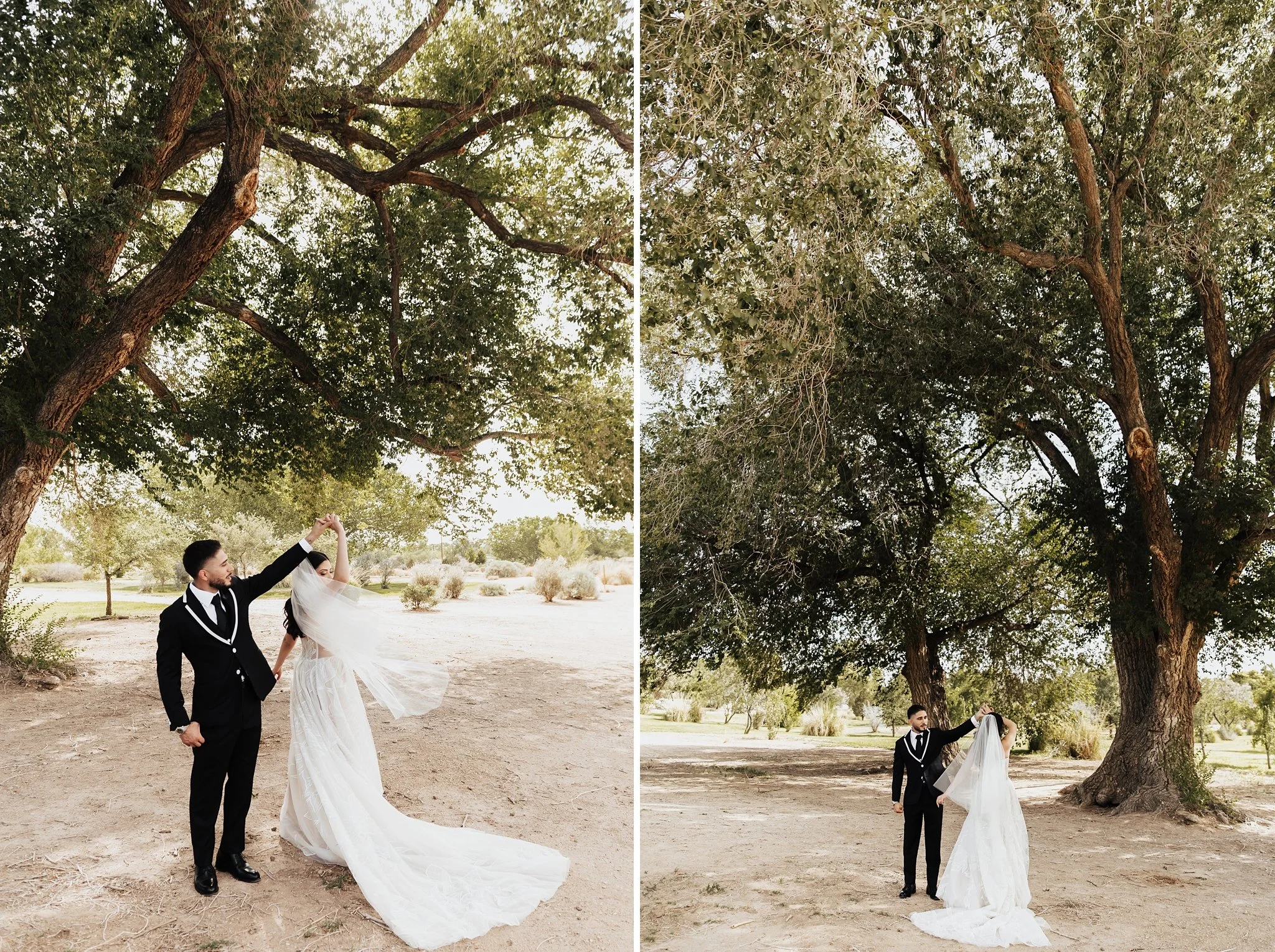 Alicia+lucia+photography+-+backyard+wedding+-+destination+wedding+-+southwest+wedding_0053.jpg