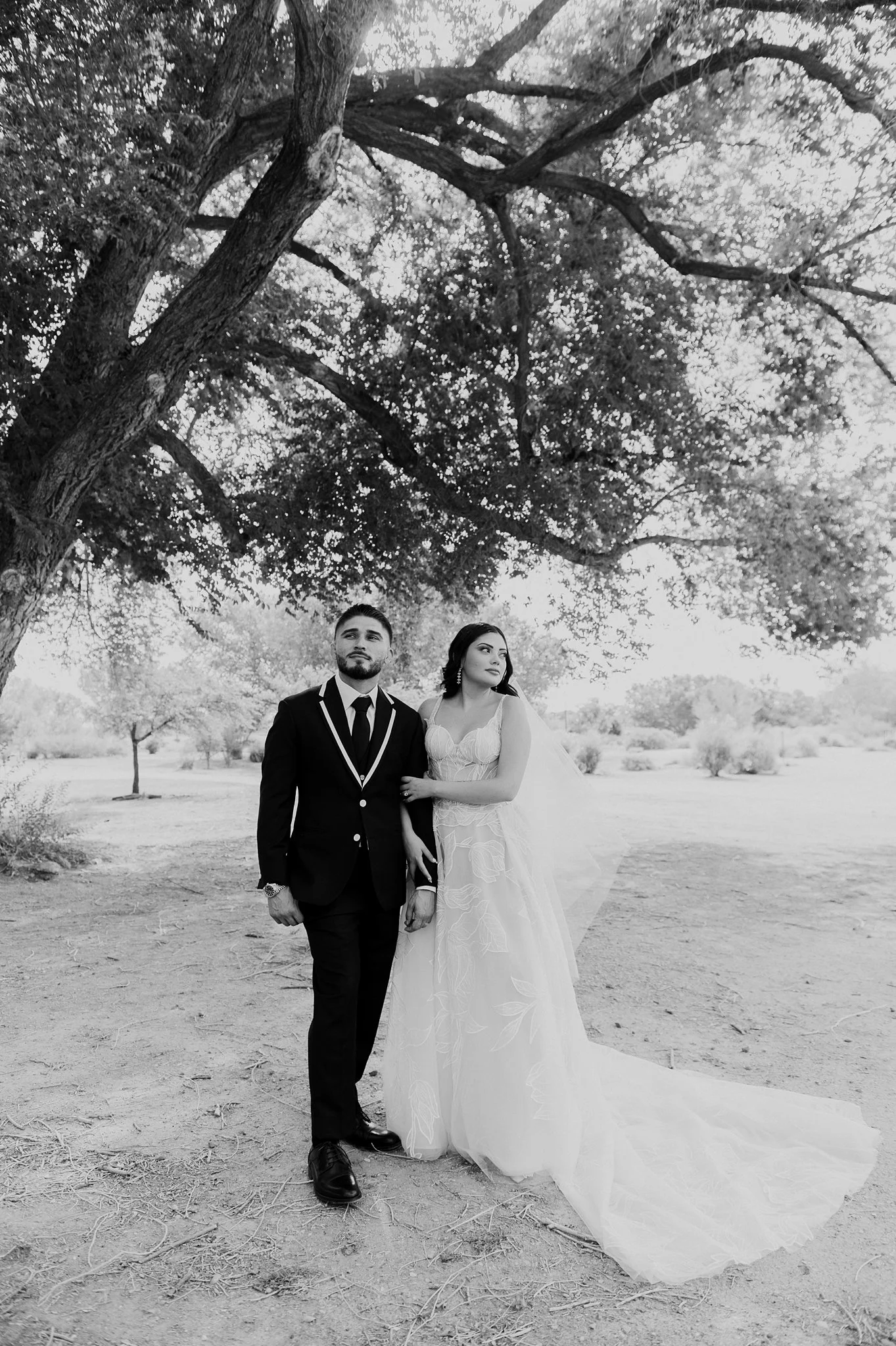 Alicia+lucia+photography+-+backyard+wedding+-+destination+wedding+-+southwest+wedding_0055.jpg