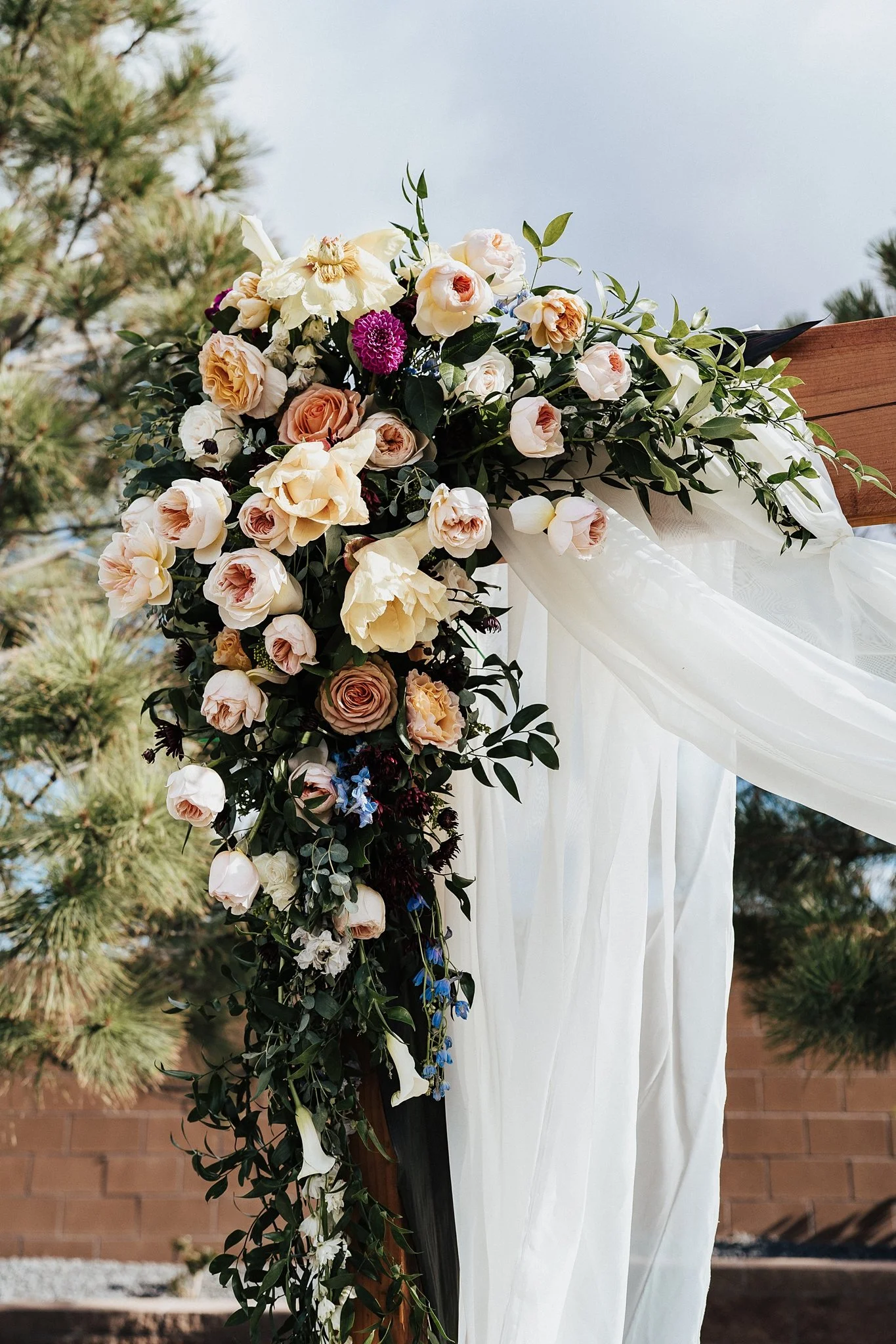 Alicia+lucia+photography+-+backyard+wedding+-+destination+wedding+-+southwest+wedding_0066.jpg