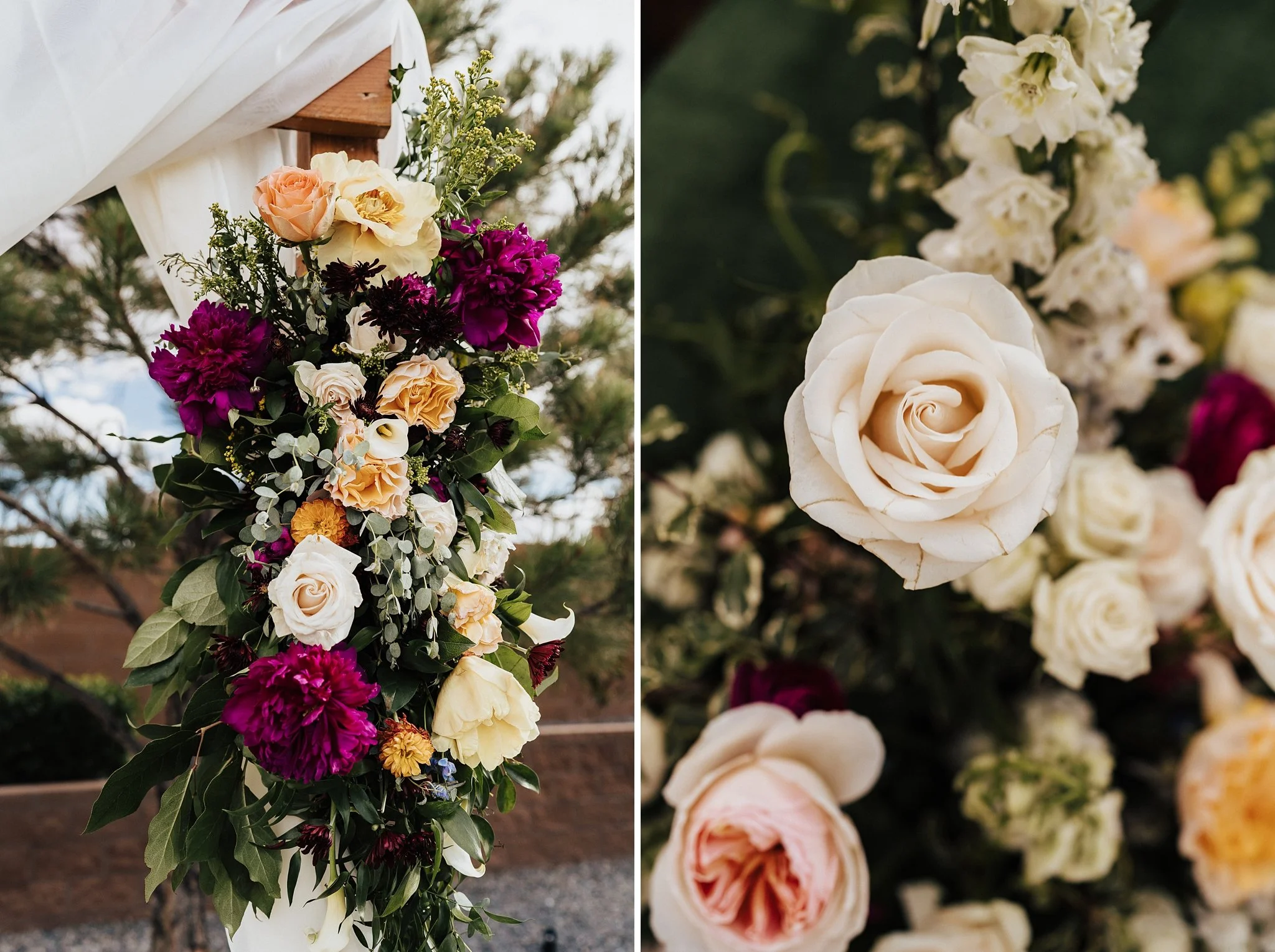 Alicia+lucia+photography+-+backyard+wedding+-+destination+wedding+-+southwest+wedding_0067.jpg