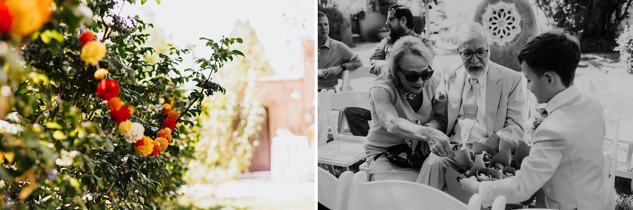 Alicia+lucia+photography+-+casas+de+suenos+wedding+-+casas+de+suenos+-+garden+wedding_0055.jpg