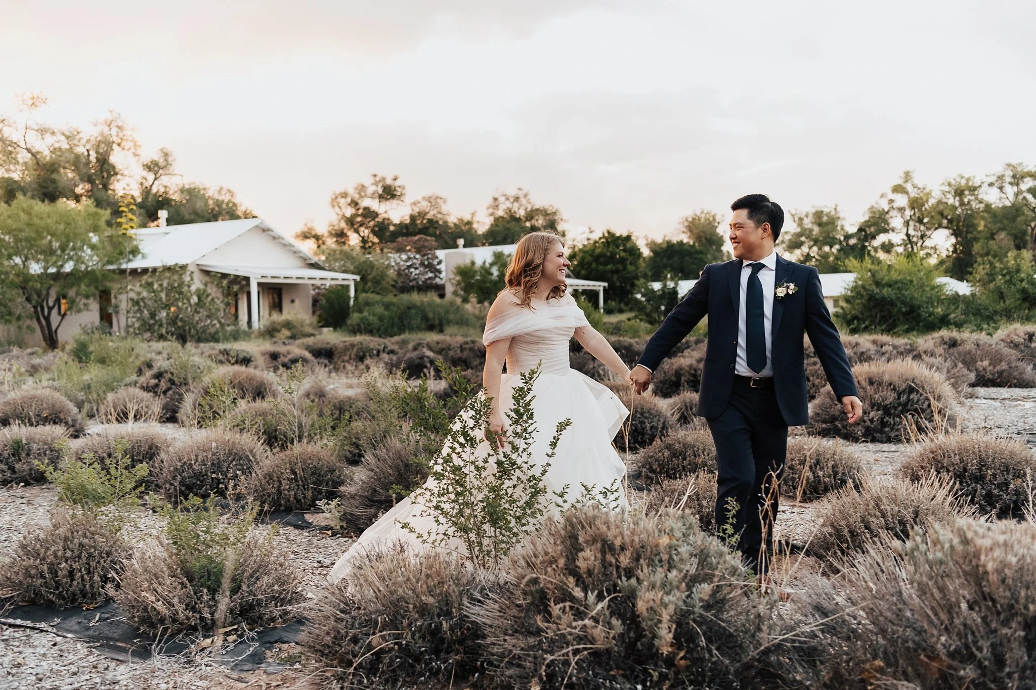 Alicia+lucia+photography+-+los+poblanos+wedding+-+farm+wedding+-+los+poblanos+farm_0001.jpg