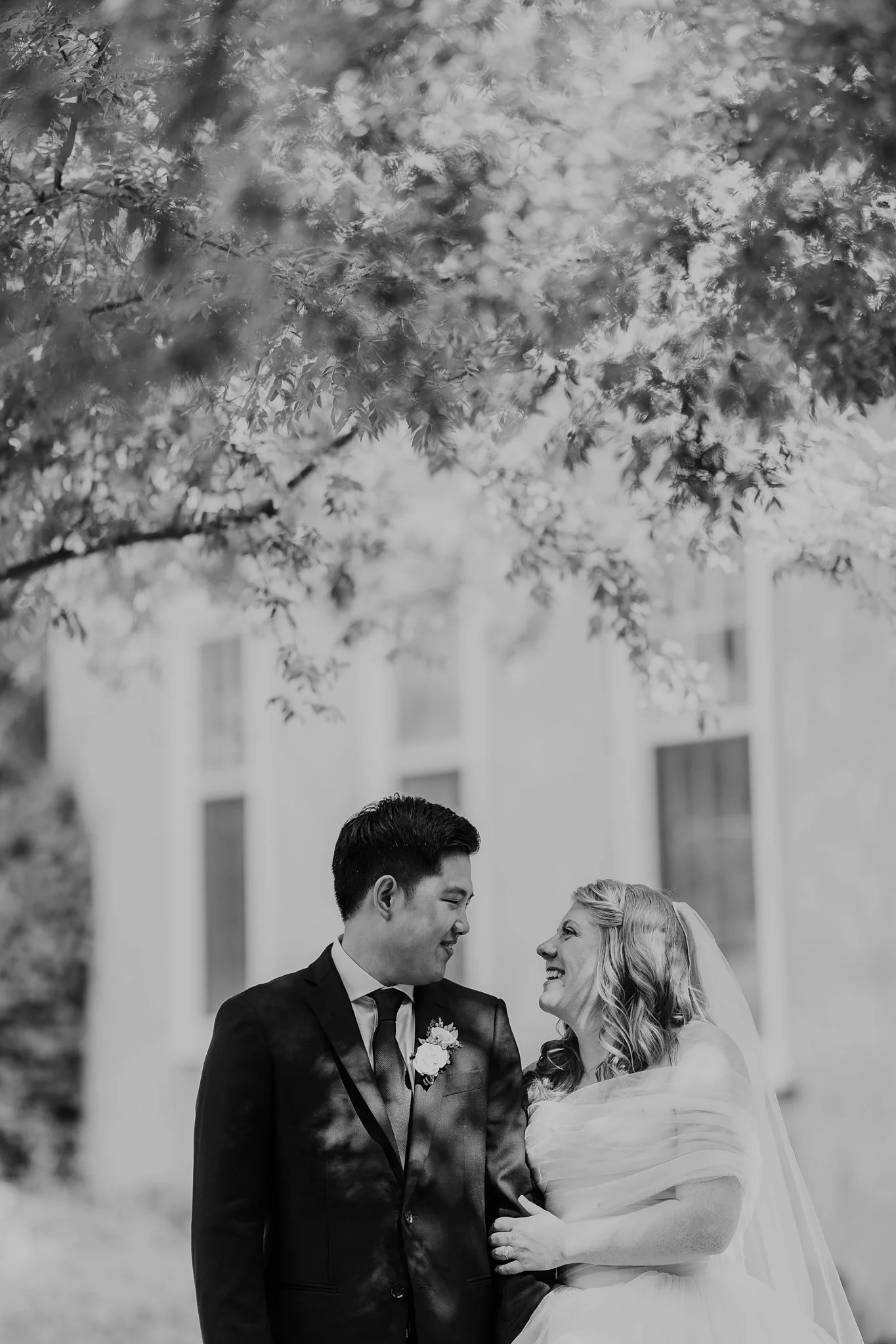 Alicia+lucia+photography+-+los+poblanos+wedding+-+farm+wedding+-+los+poblanos+farm_0109.jpg