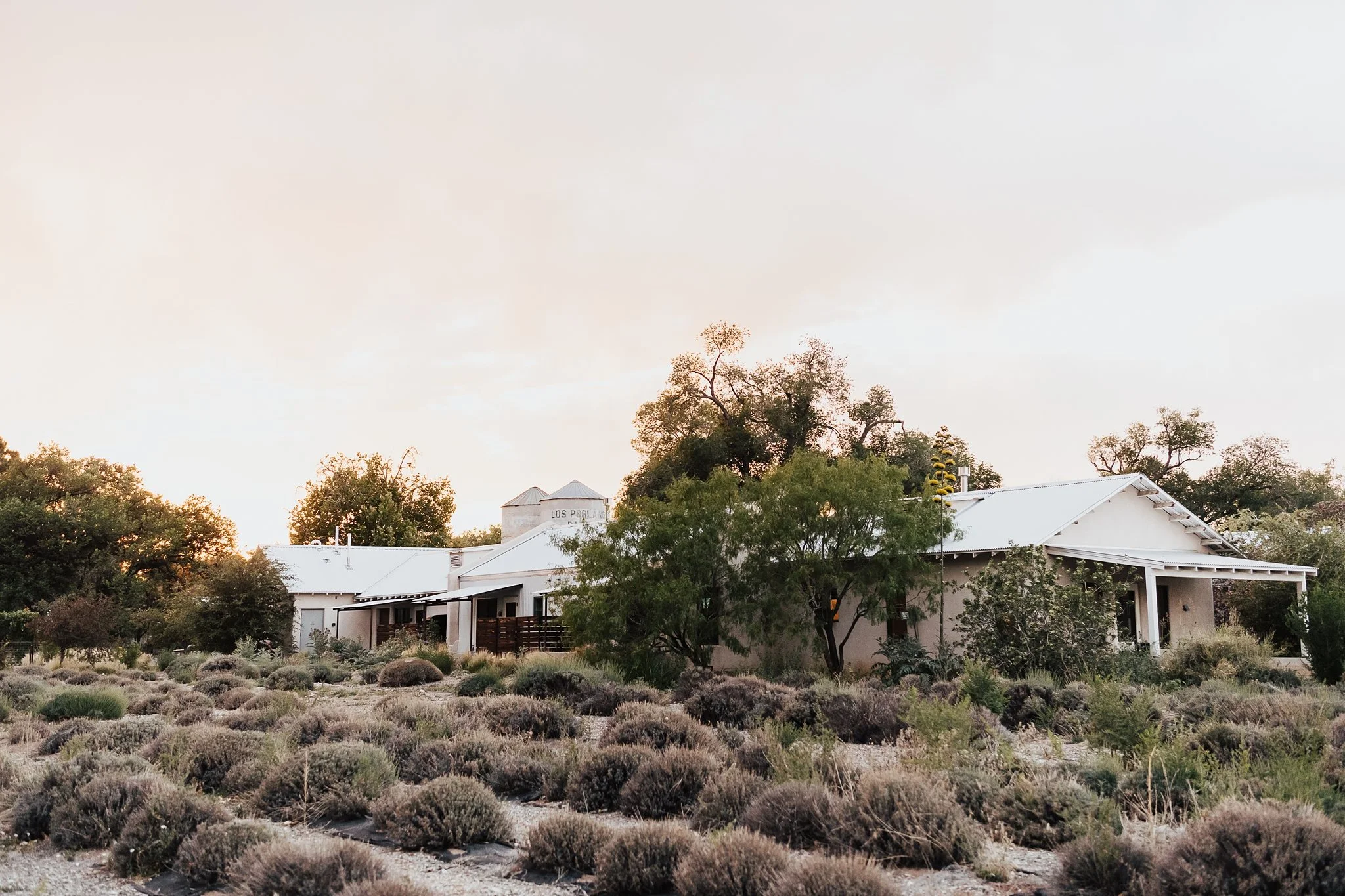 Alicia+lucia+photography+-+los+poblanos+wedding+-+farm+wedding+-+los+poblanos+farm_0144.jpg