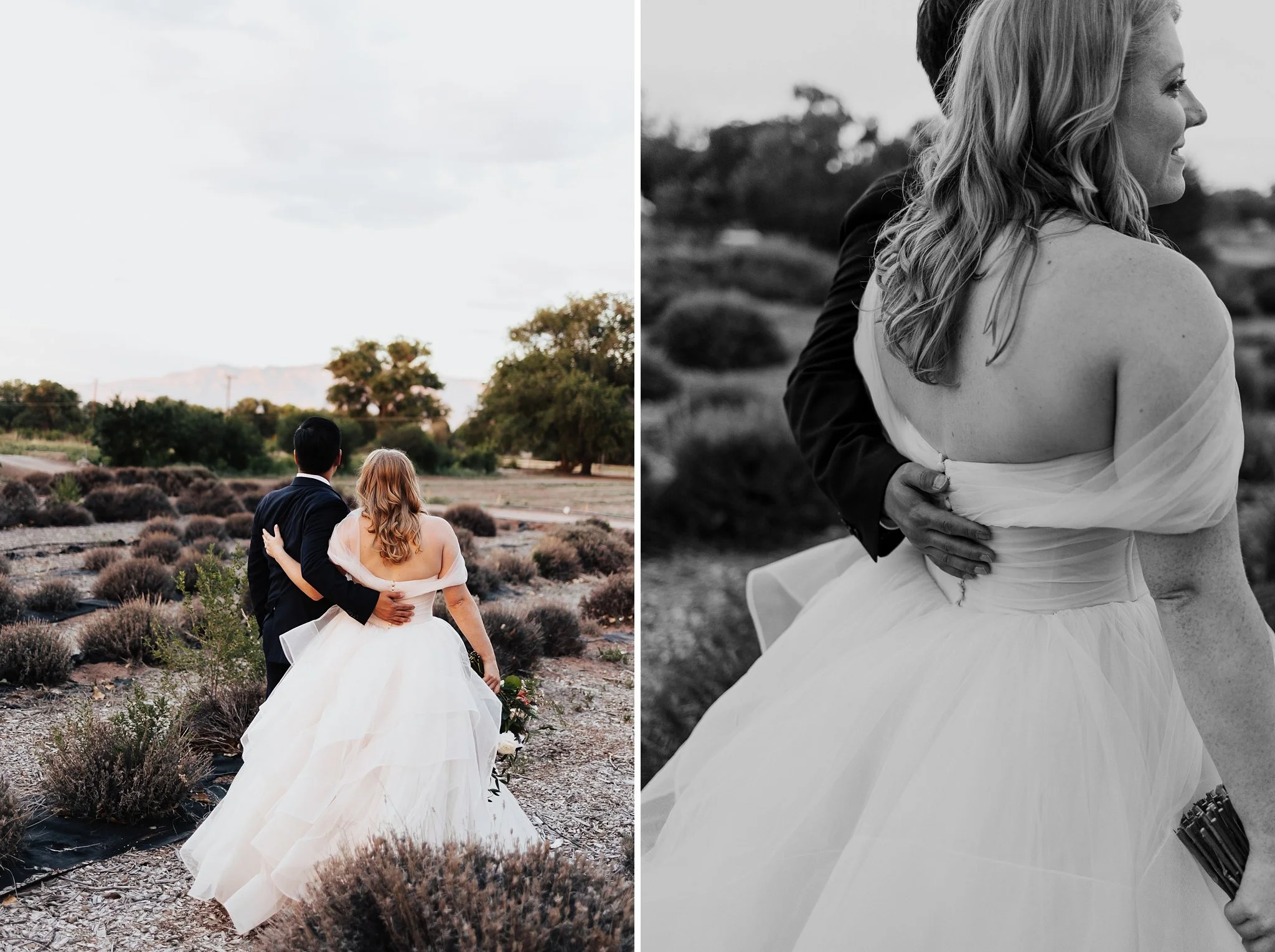 Alicia+lucia+photography+-+los+poblanos+wedding+-+farm+wedding+-+los+poblanos+farm_0148.jpg