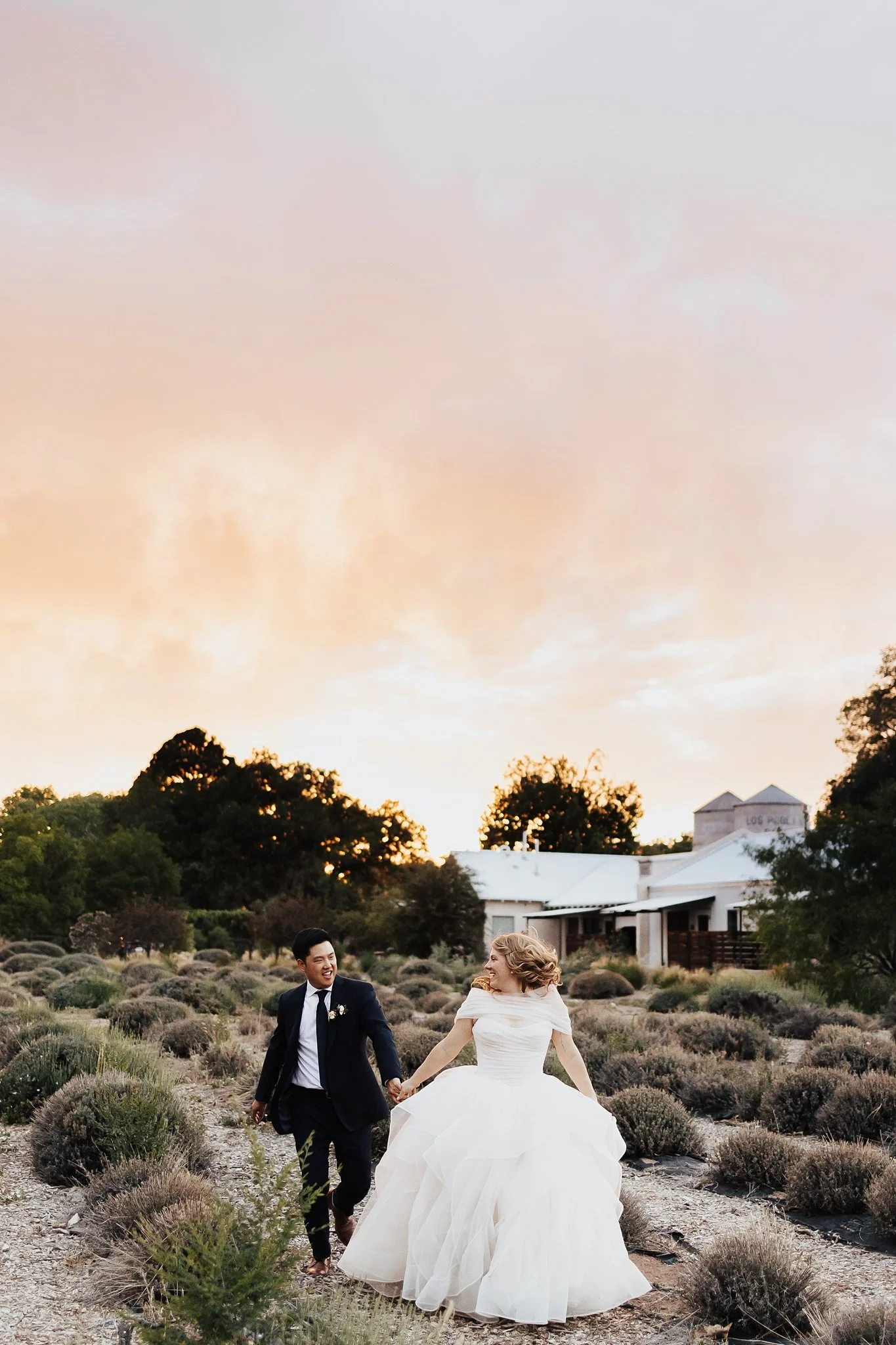 Alicia+lucia+photography+-+los+poblanos+wedding+-+farm+wedding+-+los+poblanos+farm_0149.jpg