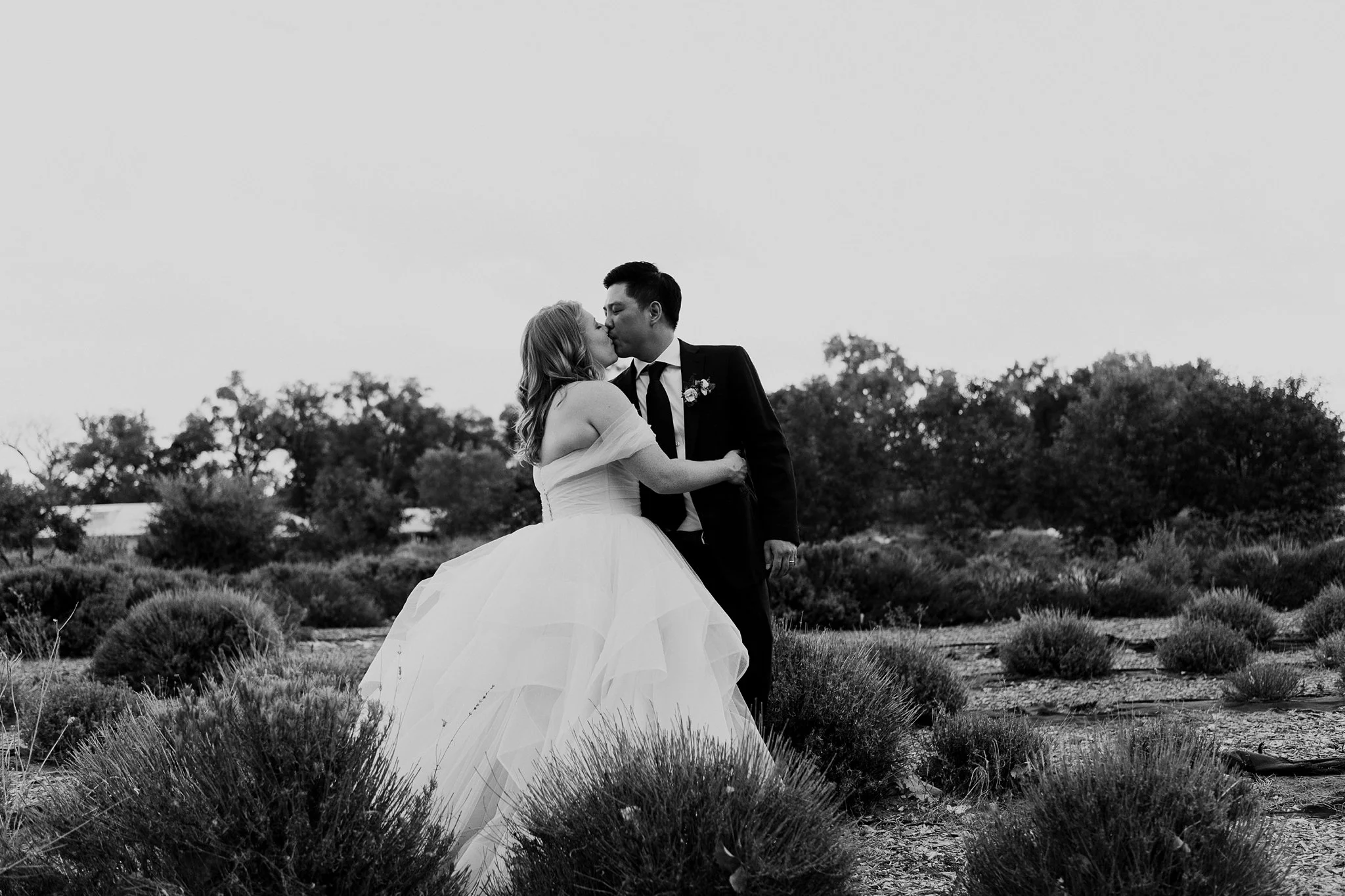 Alicia+lucia+photography+-+los+poblanos+wedding+-+farm+wedding+-+los+poblanos+farm_0153.jpg