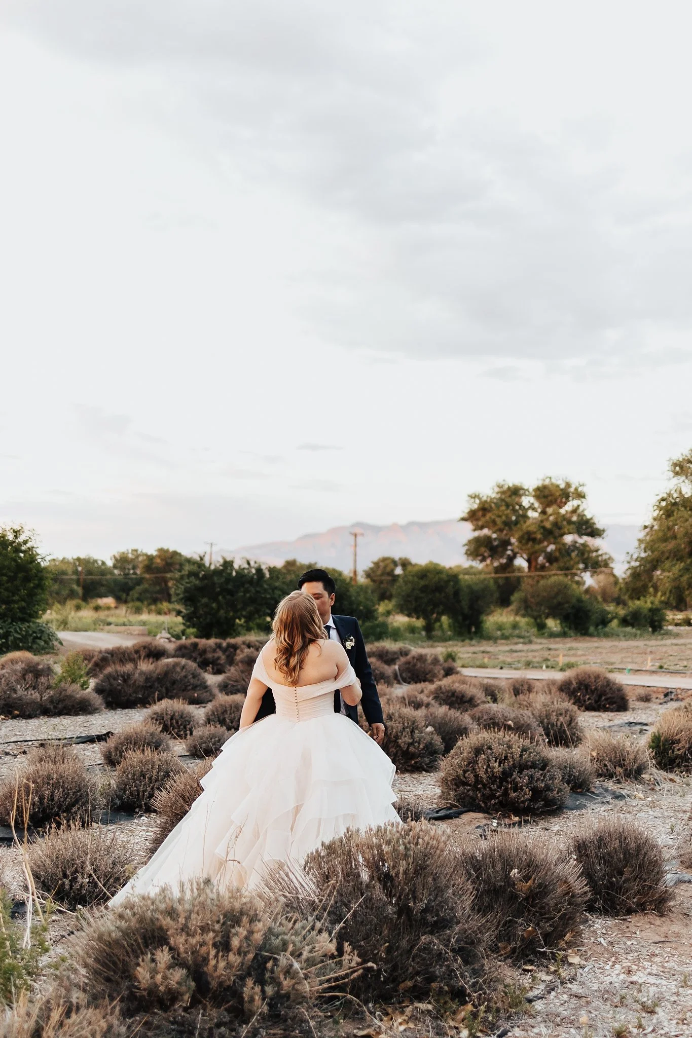 Alicia+lucia+photography+-+los+poblanos+wedding+-+farm+wedding+-+los+poblanos+farm_0154.jpg
