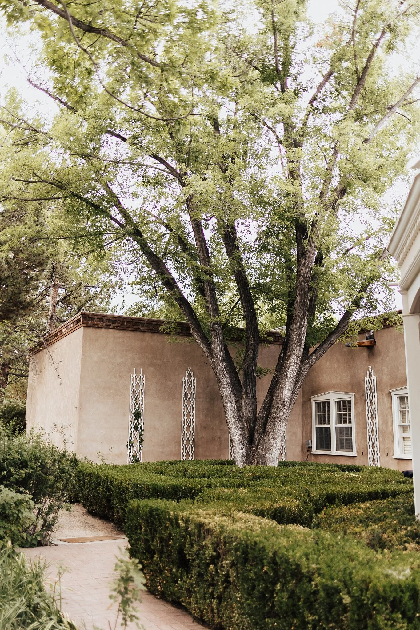 Alicia+lucia+photography+-+los+poblanos+wedding+-+farm+wedding+-+los+poblanos+farm_0169.jpg
