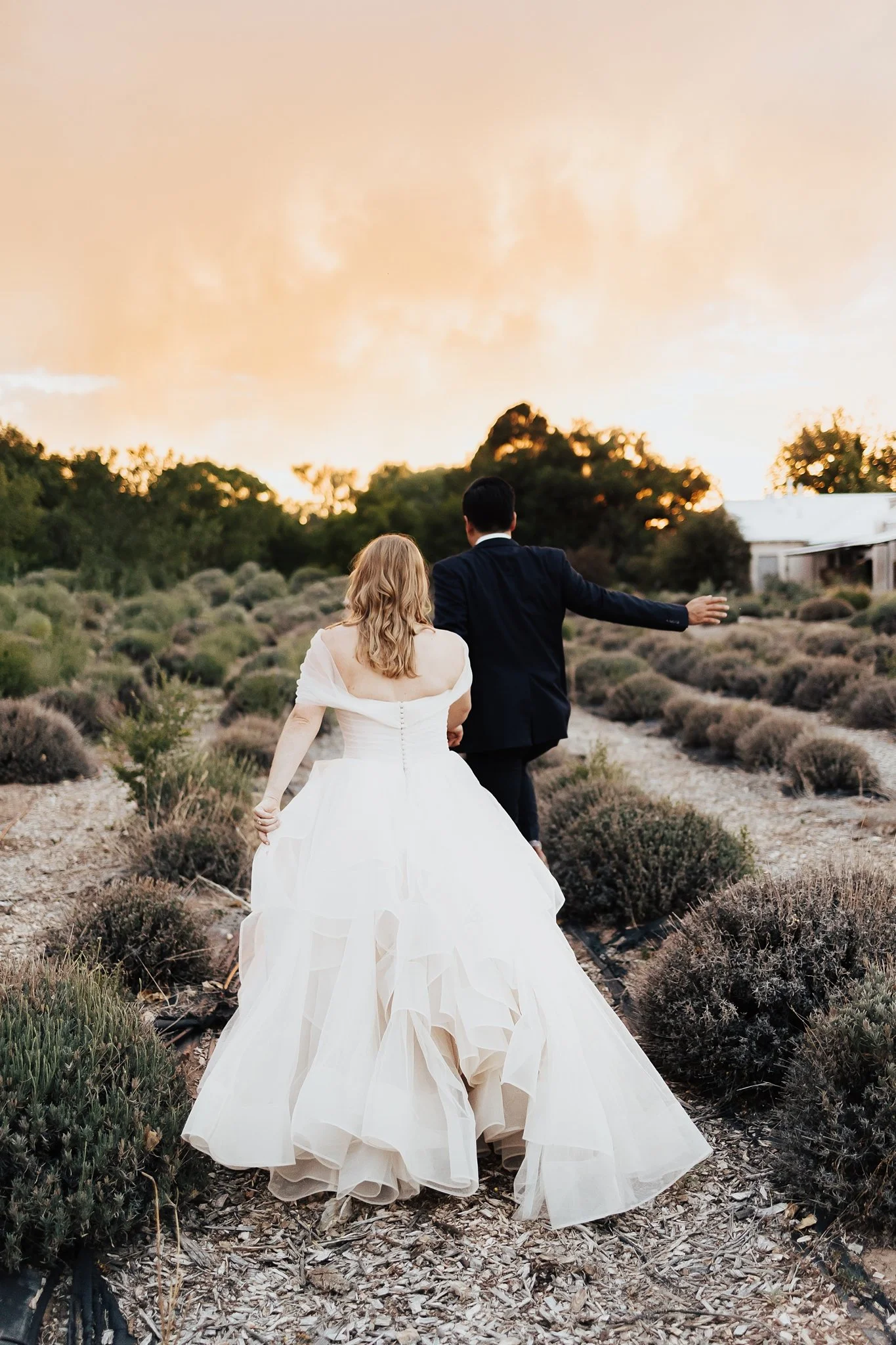 Alicia+lucia+photography+-+los+poblanos+wedding+-+farm+wedding+-+los+poblanos+farm_0188.jpg
