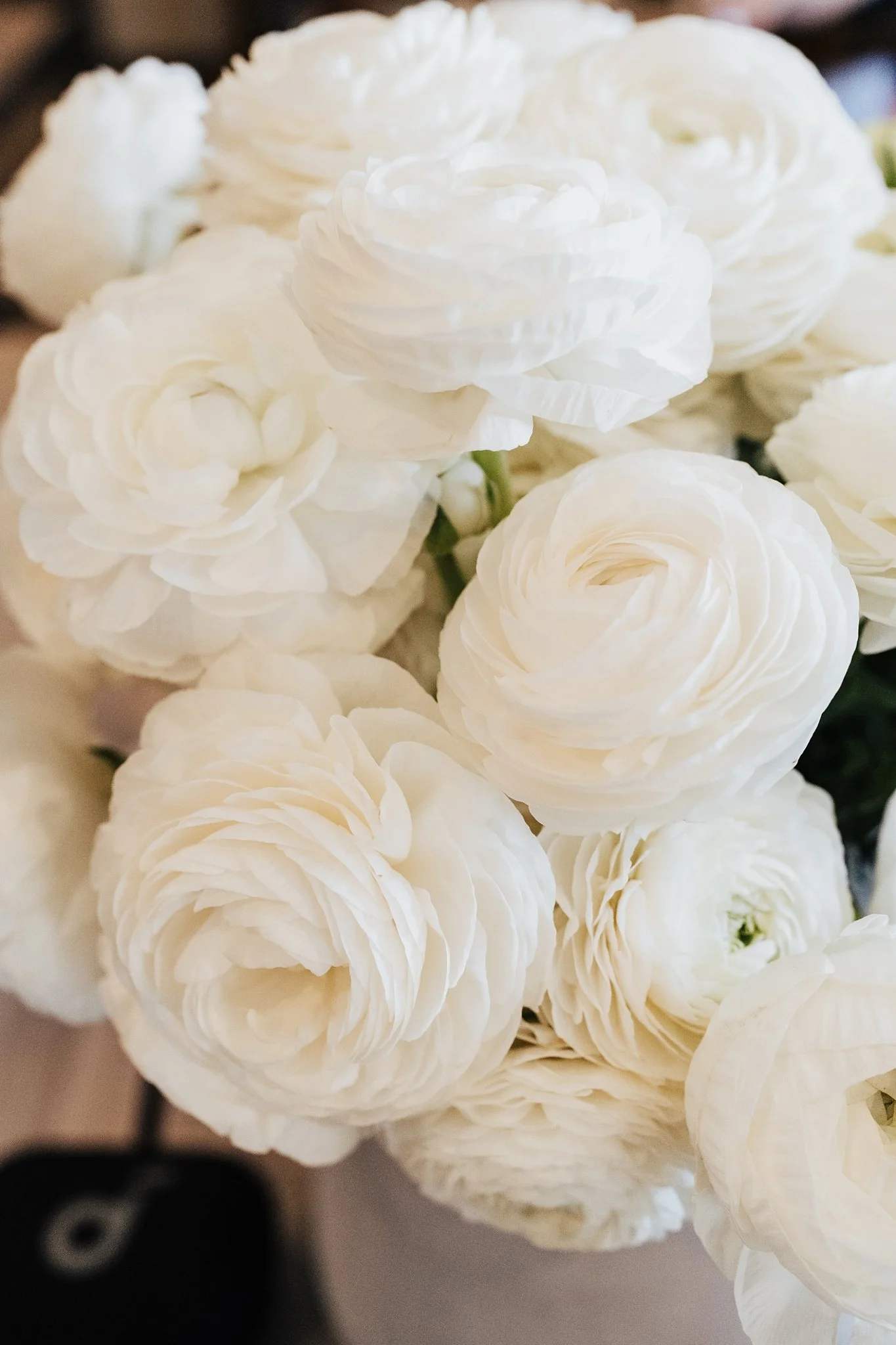 Alicia+lucia+photography+-+tamaya+wedding+-+southwest+wedding+-+new+mexcio+wedding_0004.jpg