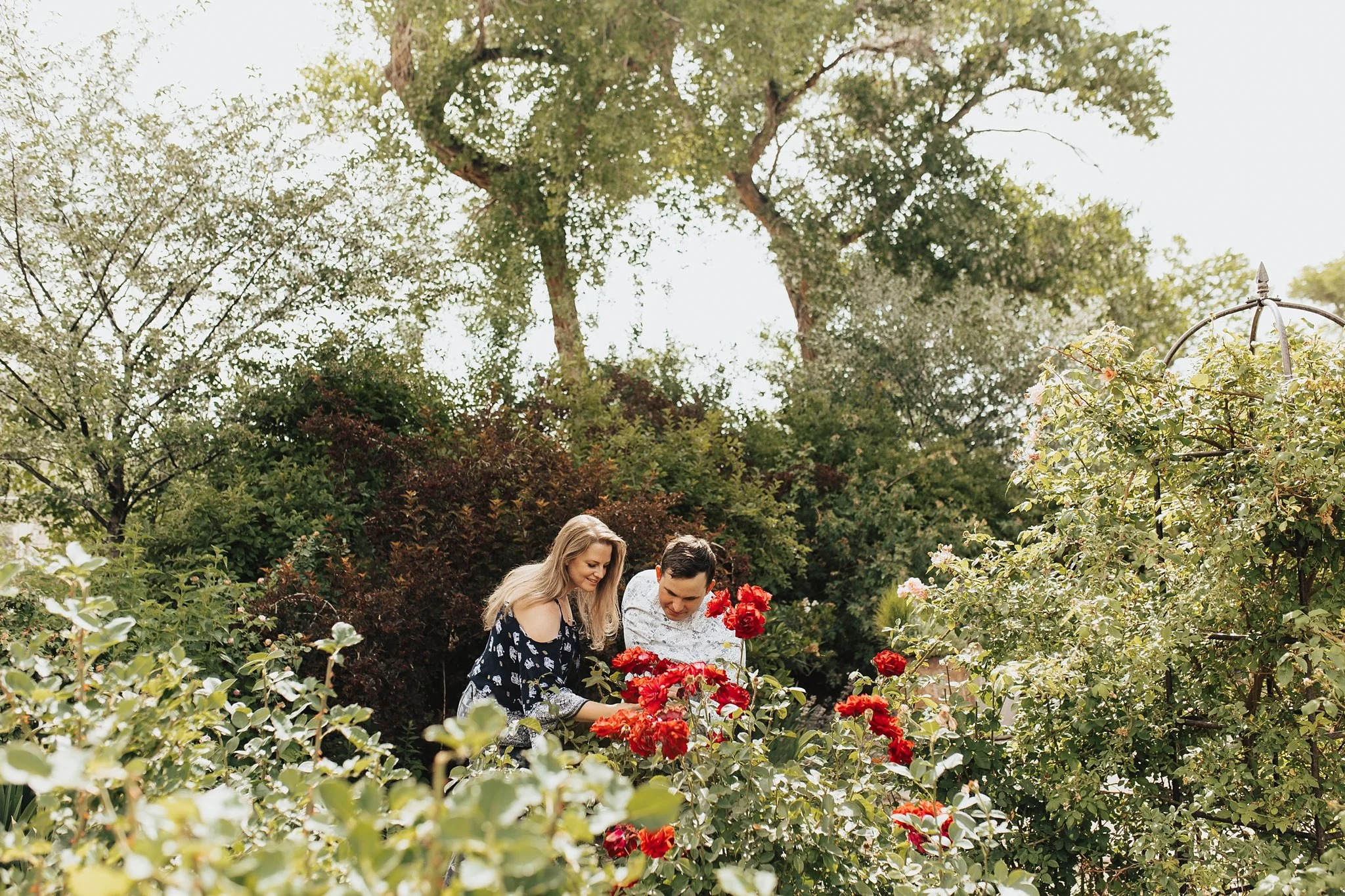 Alicia+lucia+photography+-+botanic-garden+-+botanic-garden-engagement+-+albuquerque-engagement_0022.jpg